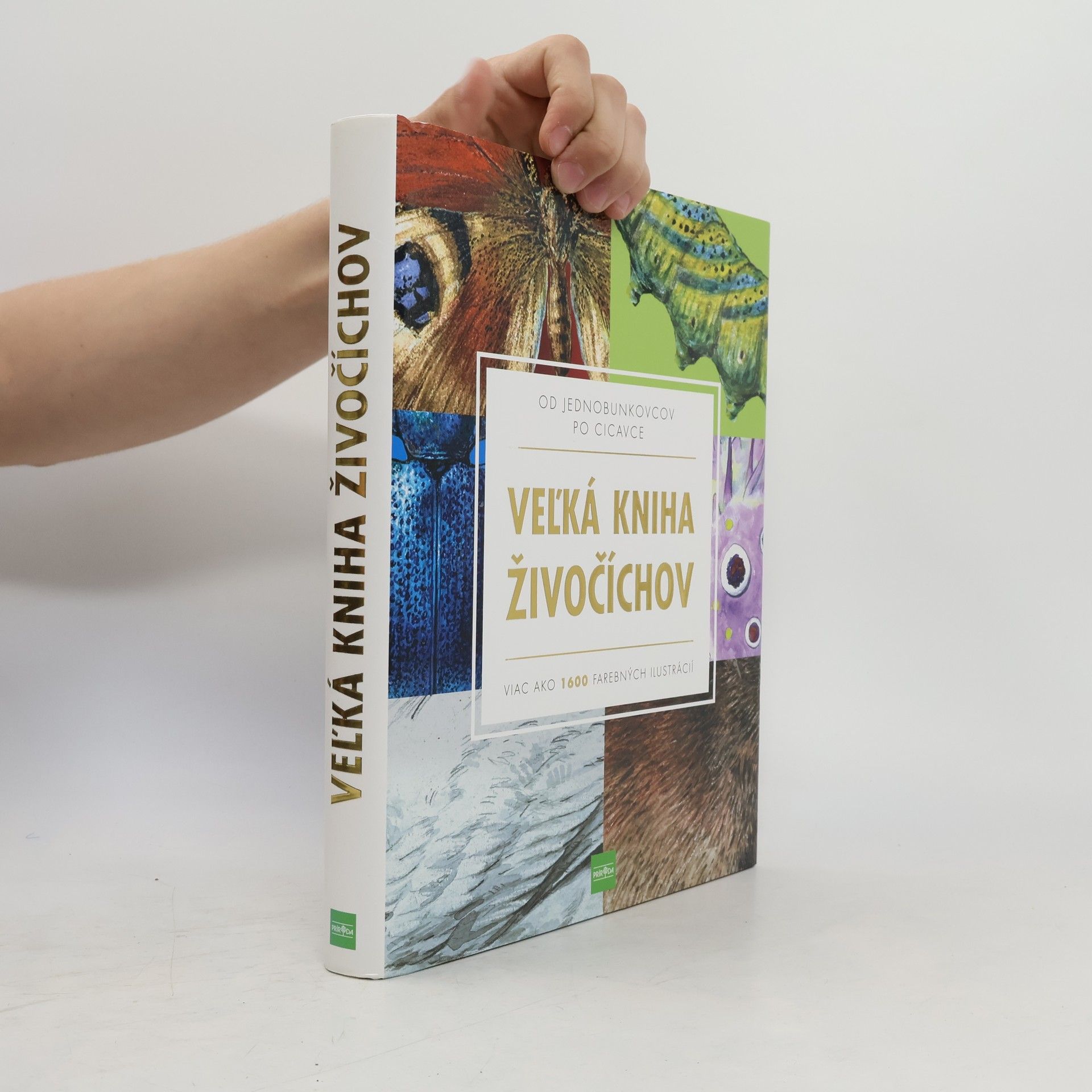 Autorenkollektiv Veľká kniha živočíchov