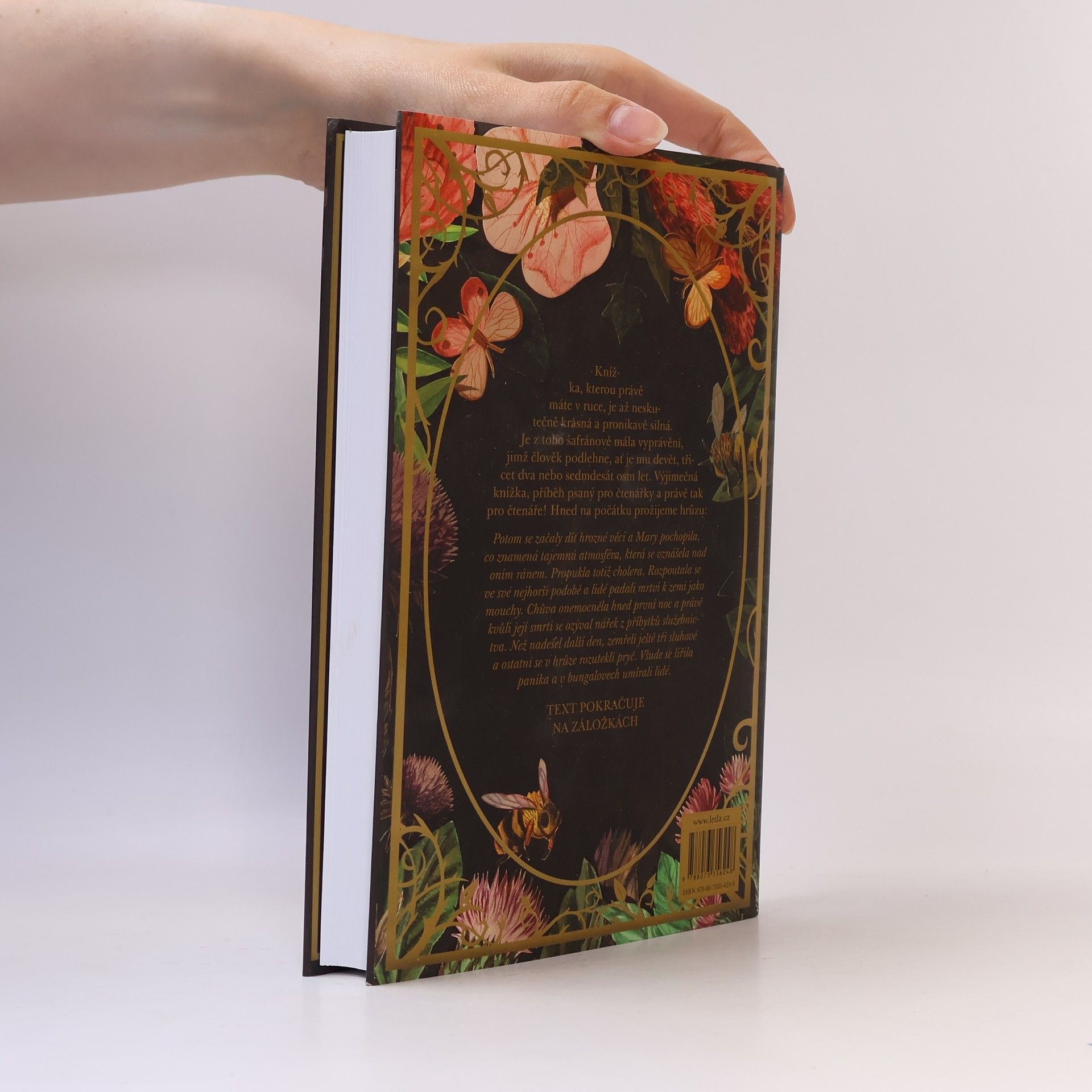 Frances Hodgson Burnett Tajemná zahrada