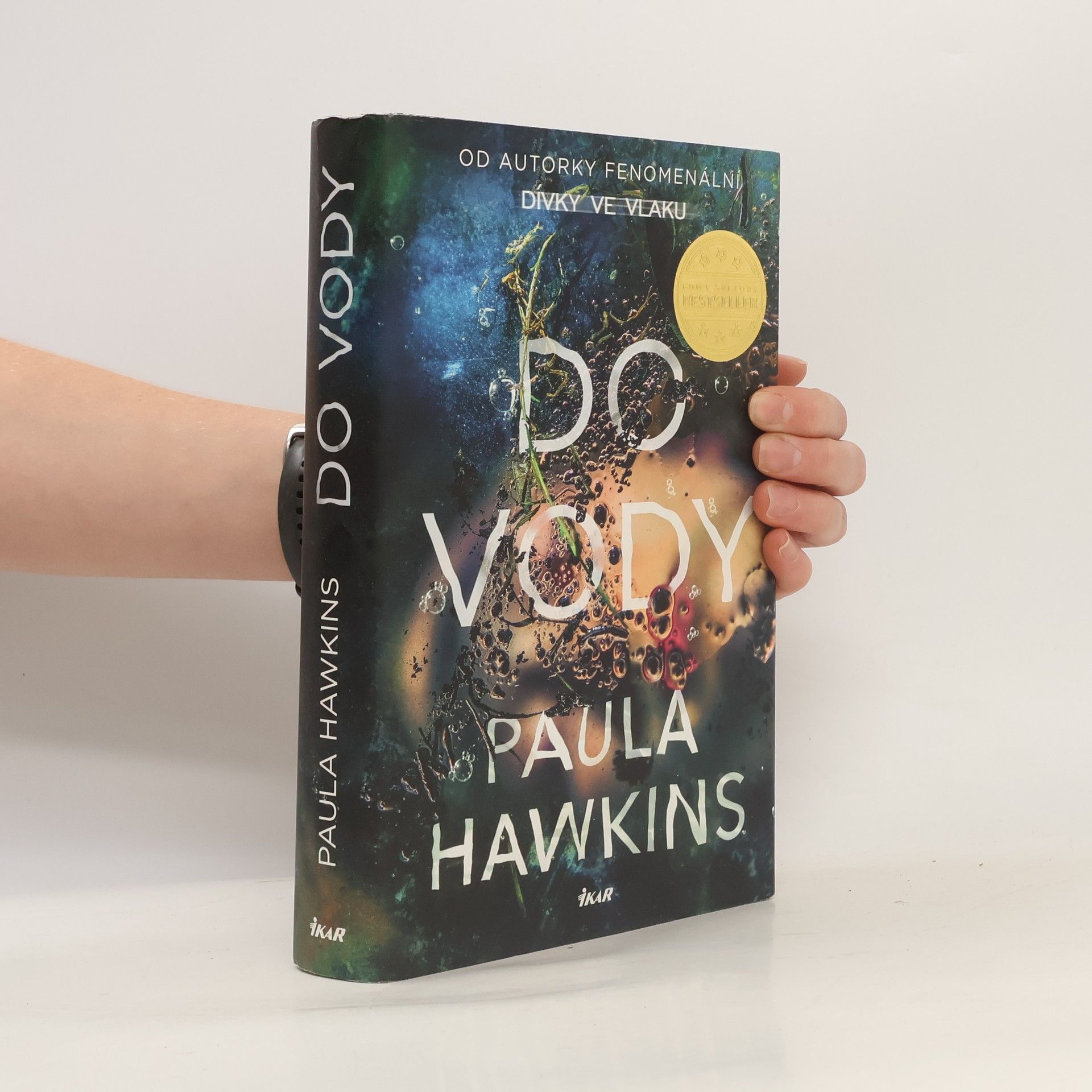 Paula Hawkins Do vody