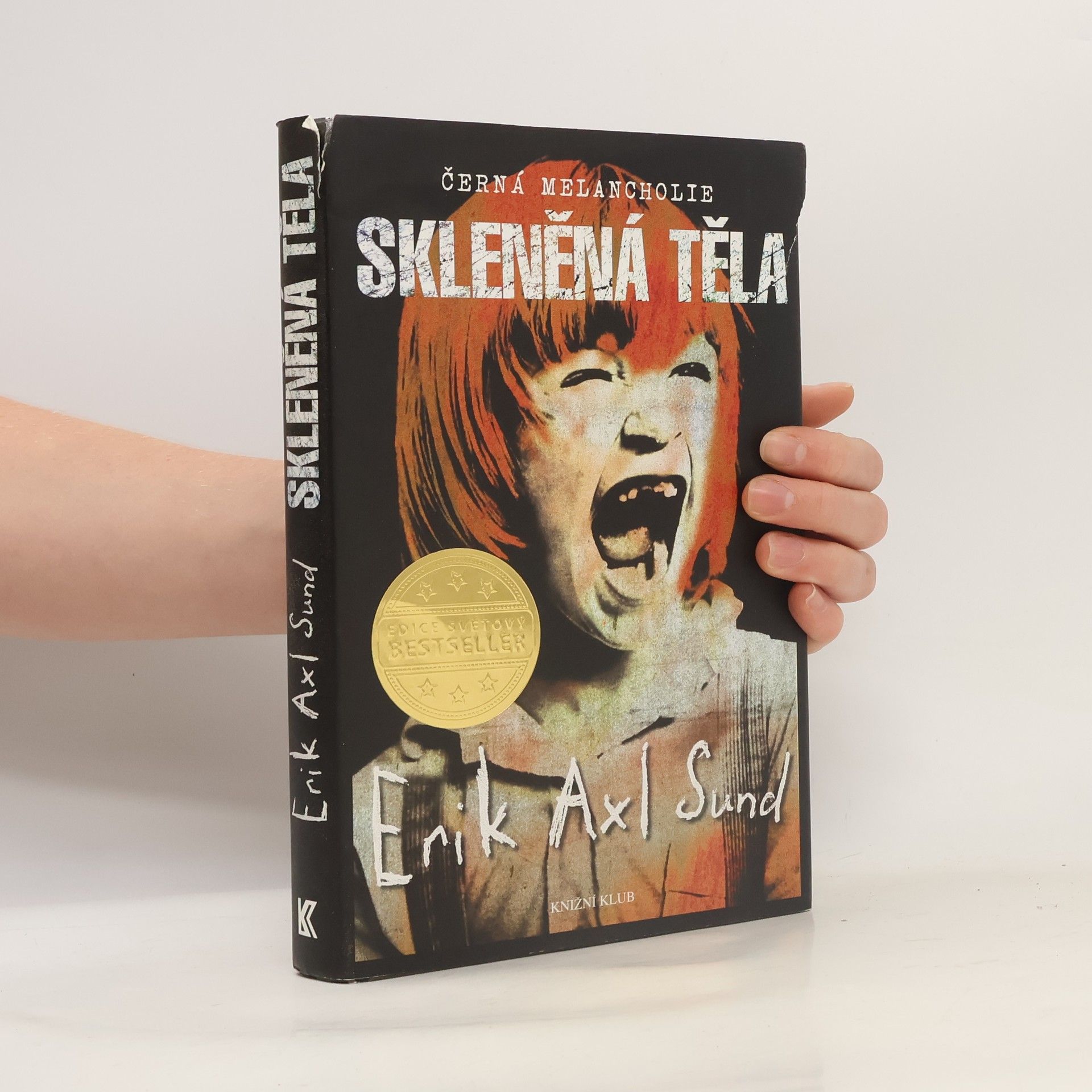 Erik Axl Sund Skleněná těla. Černá melancholie