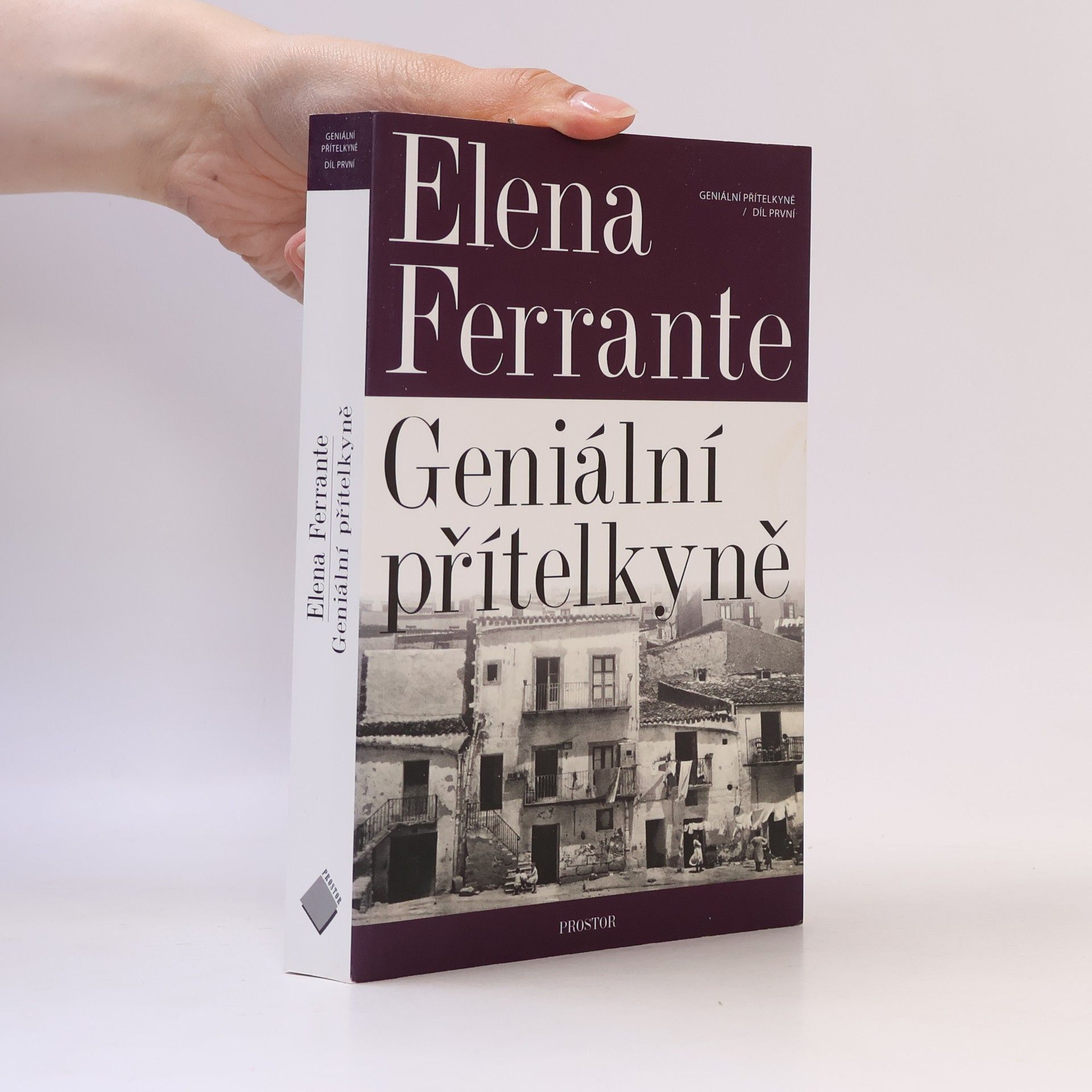 Elena Ferrante Geniální přítelkyně 1. Dětství a dospívání