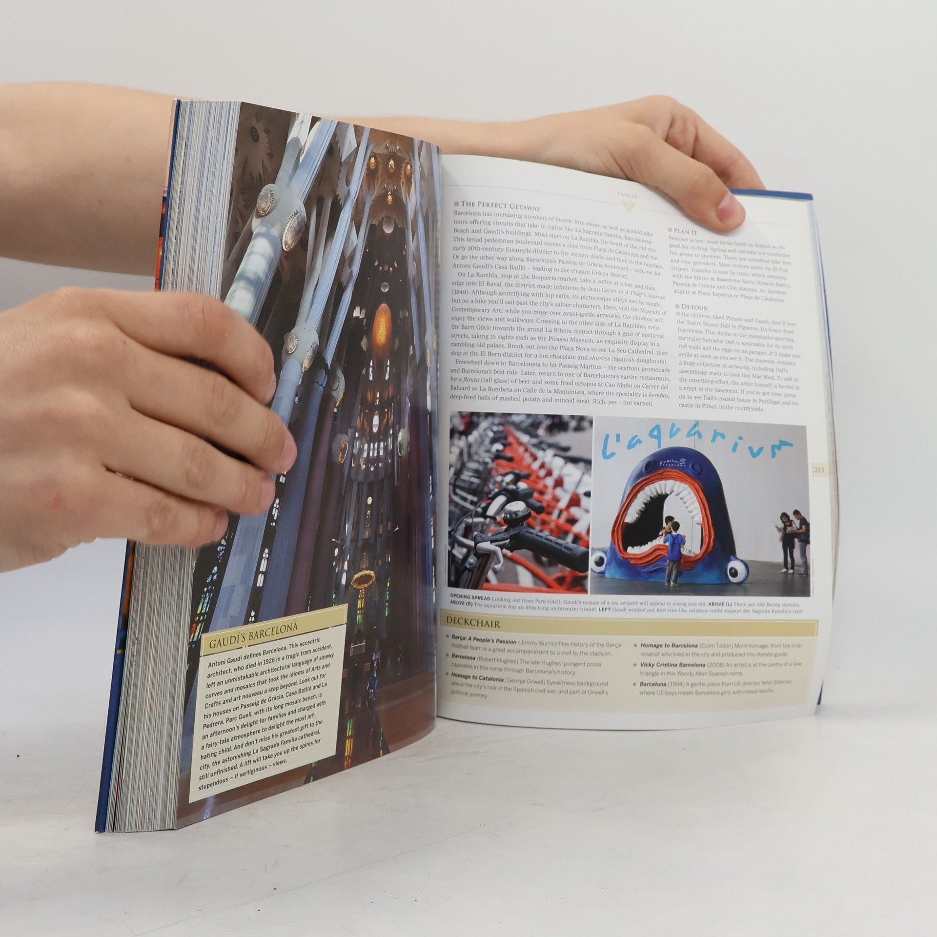 Ann Abel Great escapes : enjoy the world at your leisure