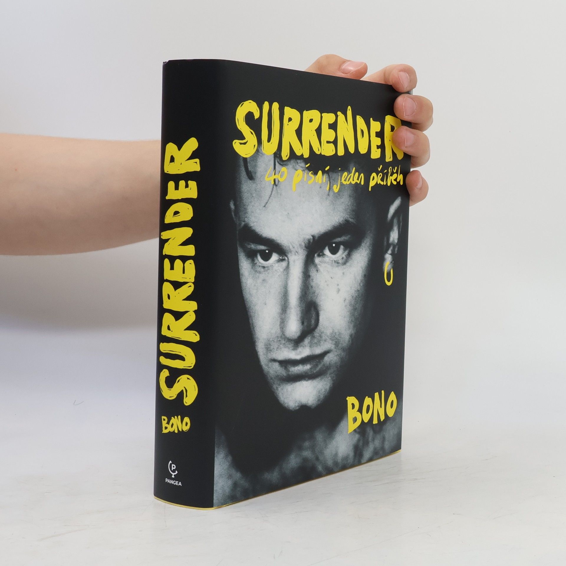 Bono Surrender : 40 písní, jeden příběh