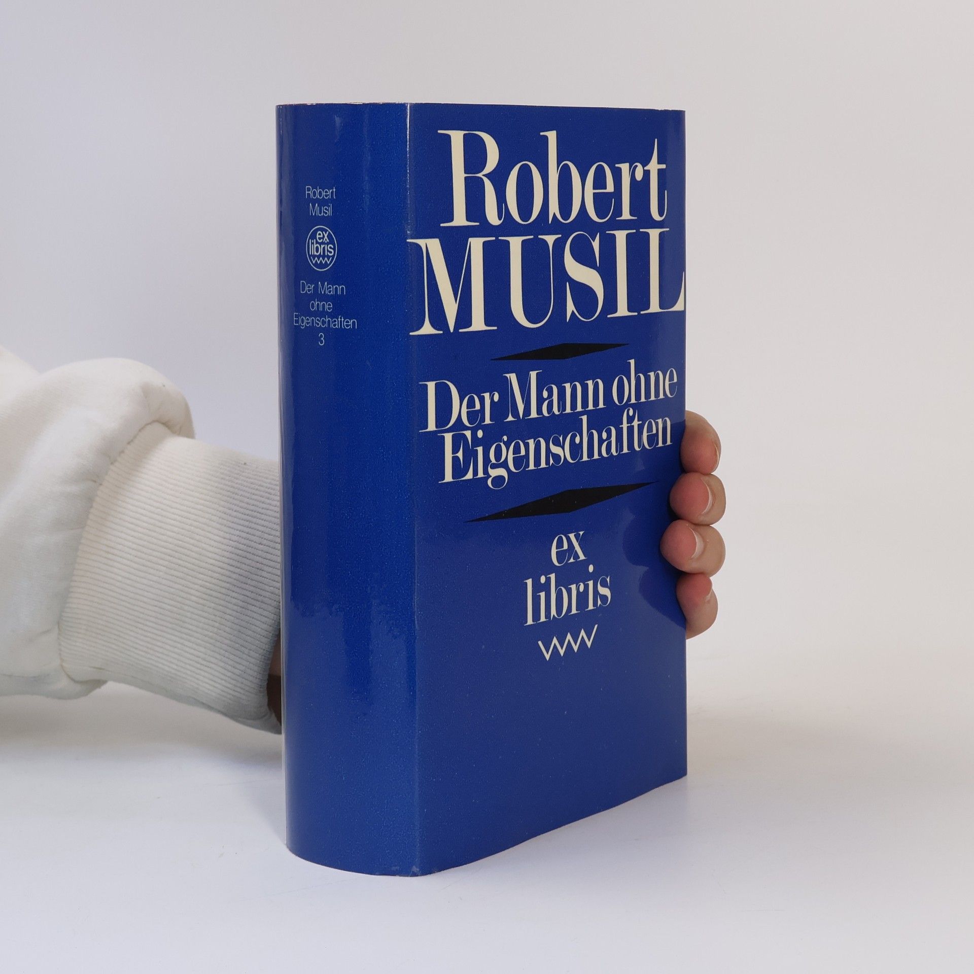 Robert Musil Der Mann ohne Eigenschaften 3