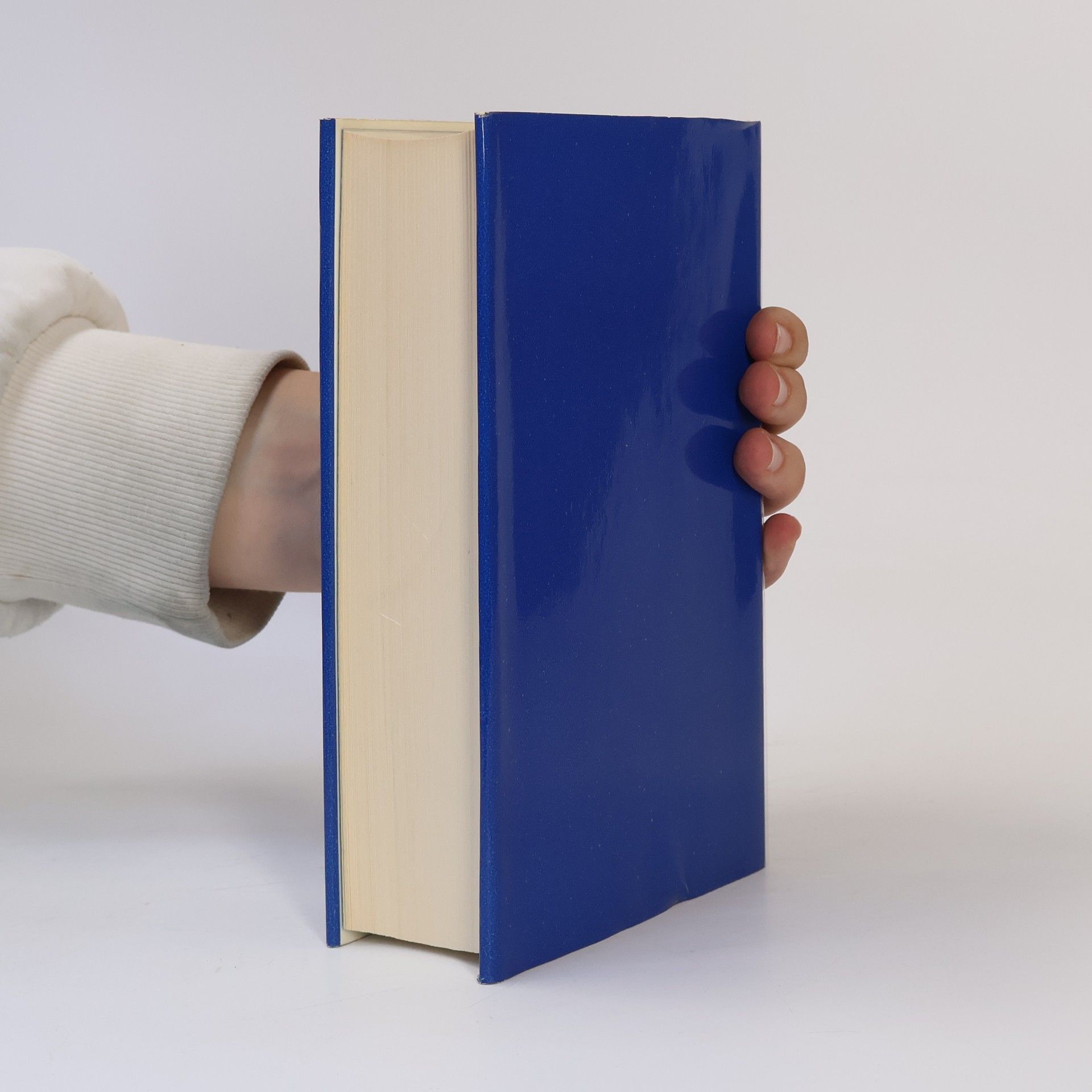 Robert Musil Der Mann ohne Eigenschaften 3