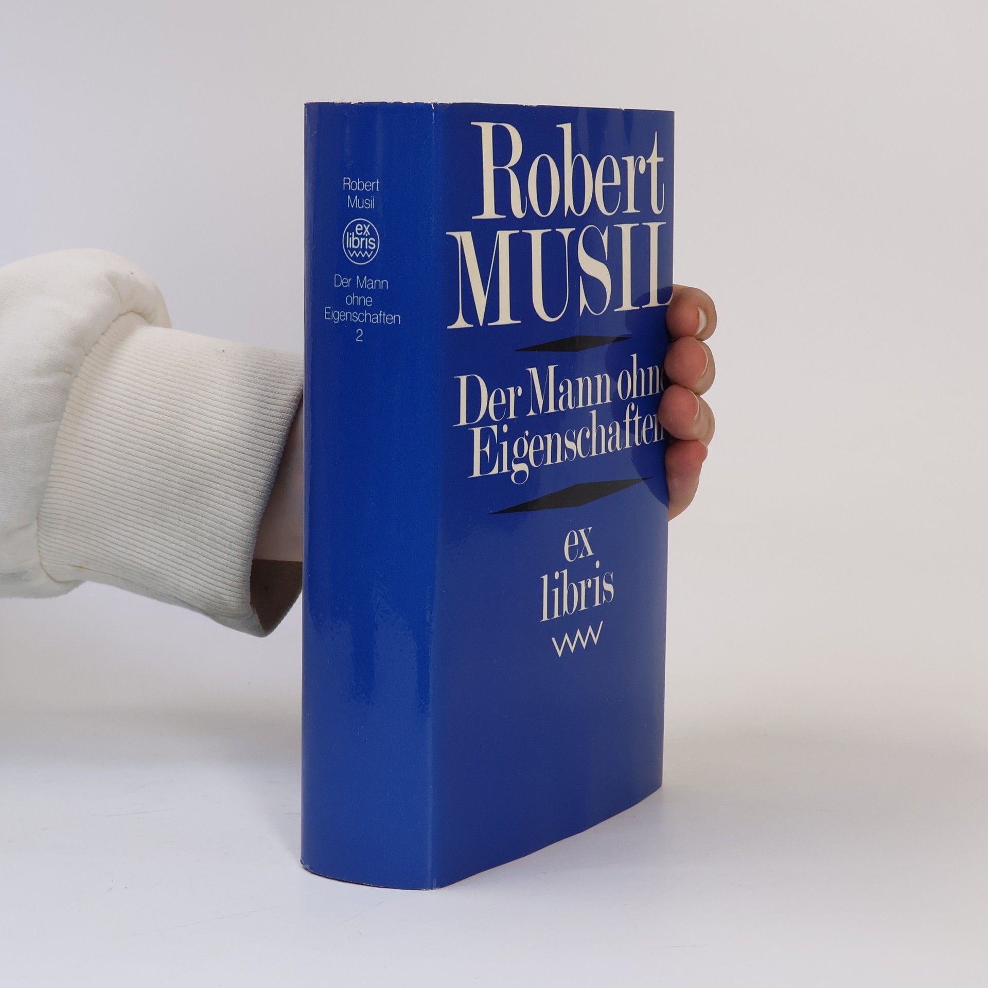 Robert Musil Der Mann ohne Eigenschaften 2