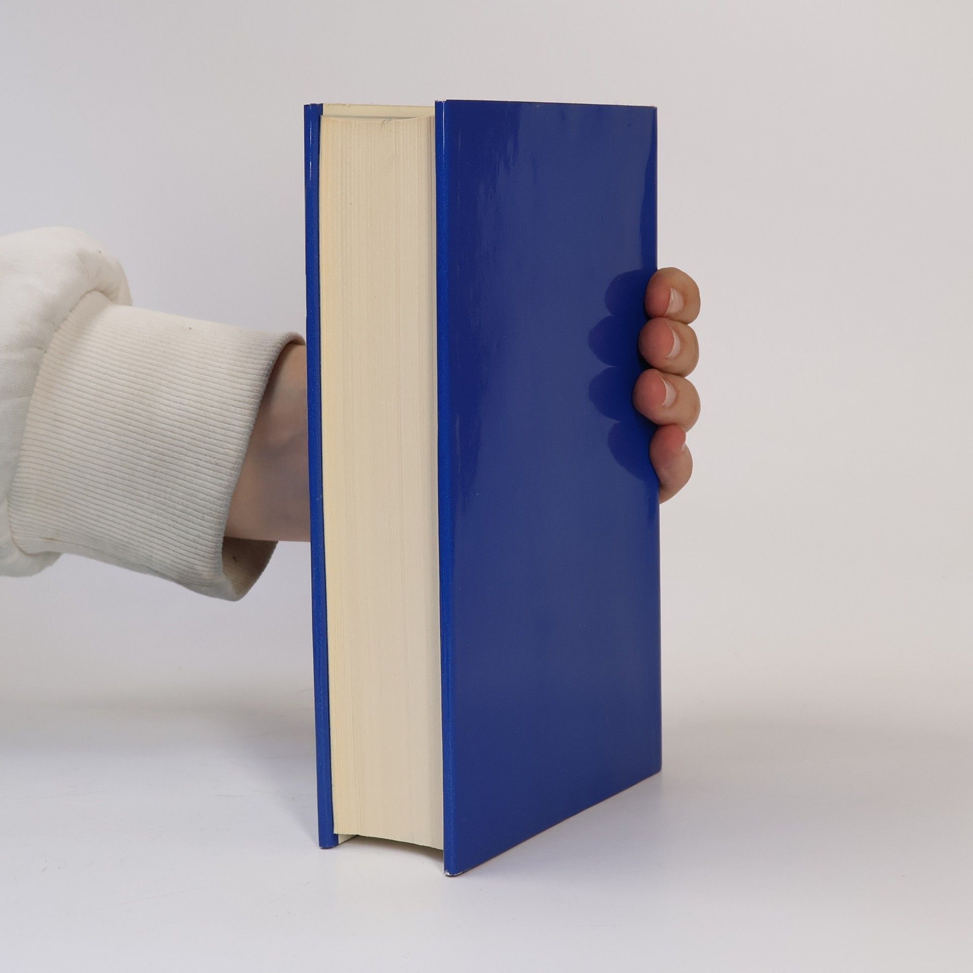 Robert Musil Der Mann ohne Eigenschaften 2