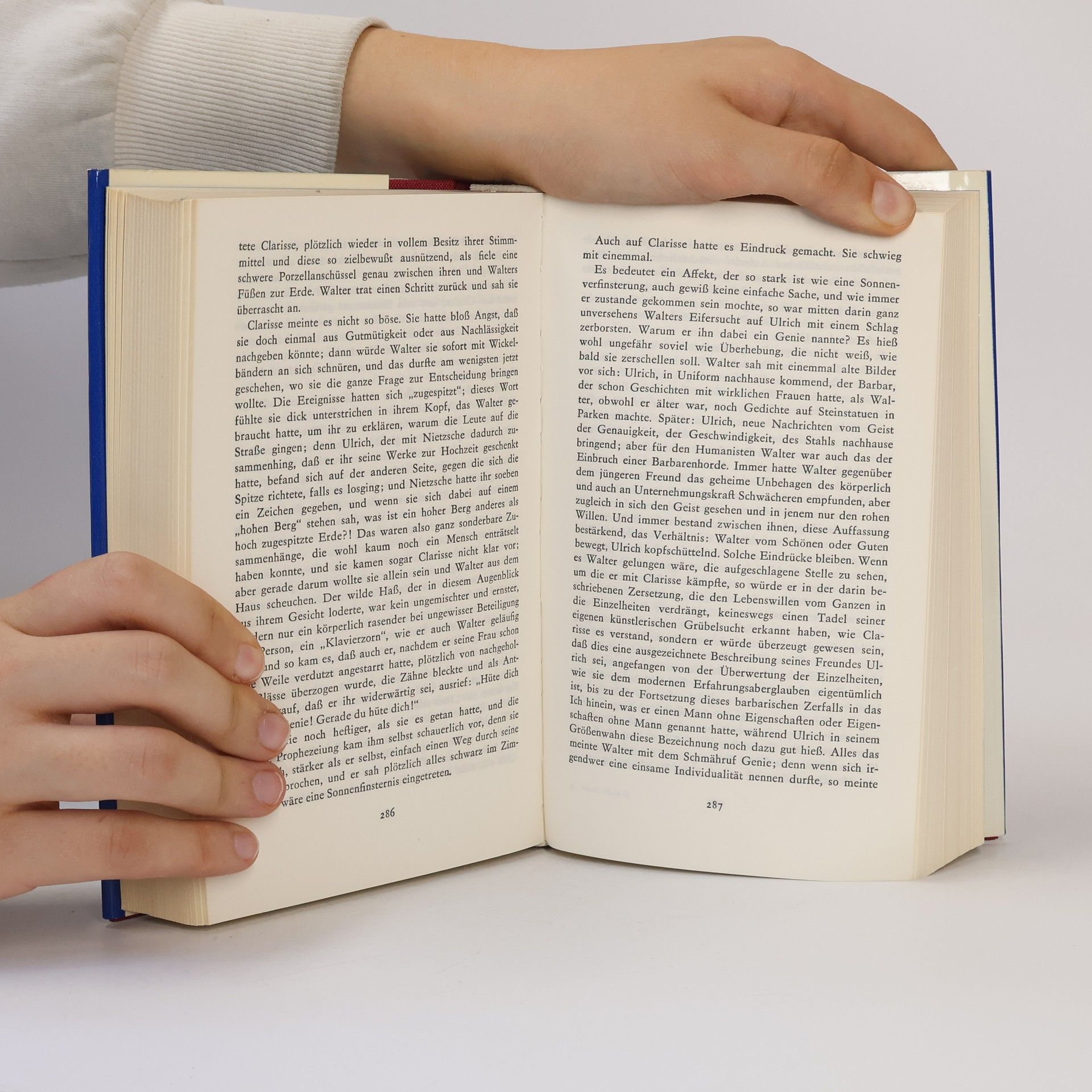 Robert Musil Der Mann ohne Eigenschaften 2