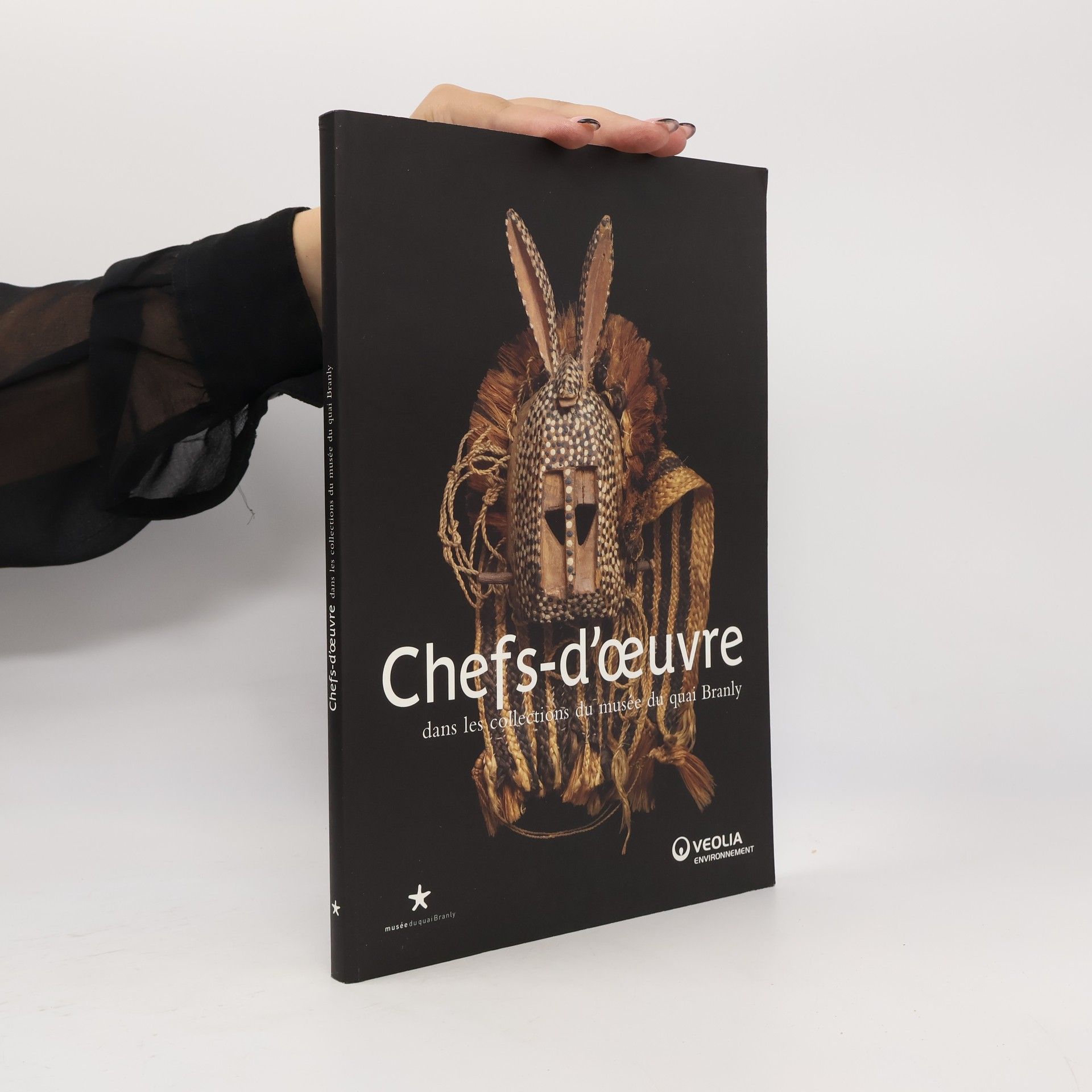 Musée du Quai Branly Chefs-d'oeuvre dans les collections du musée du quai Branly
