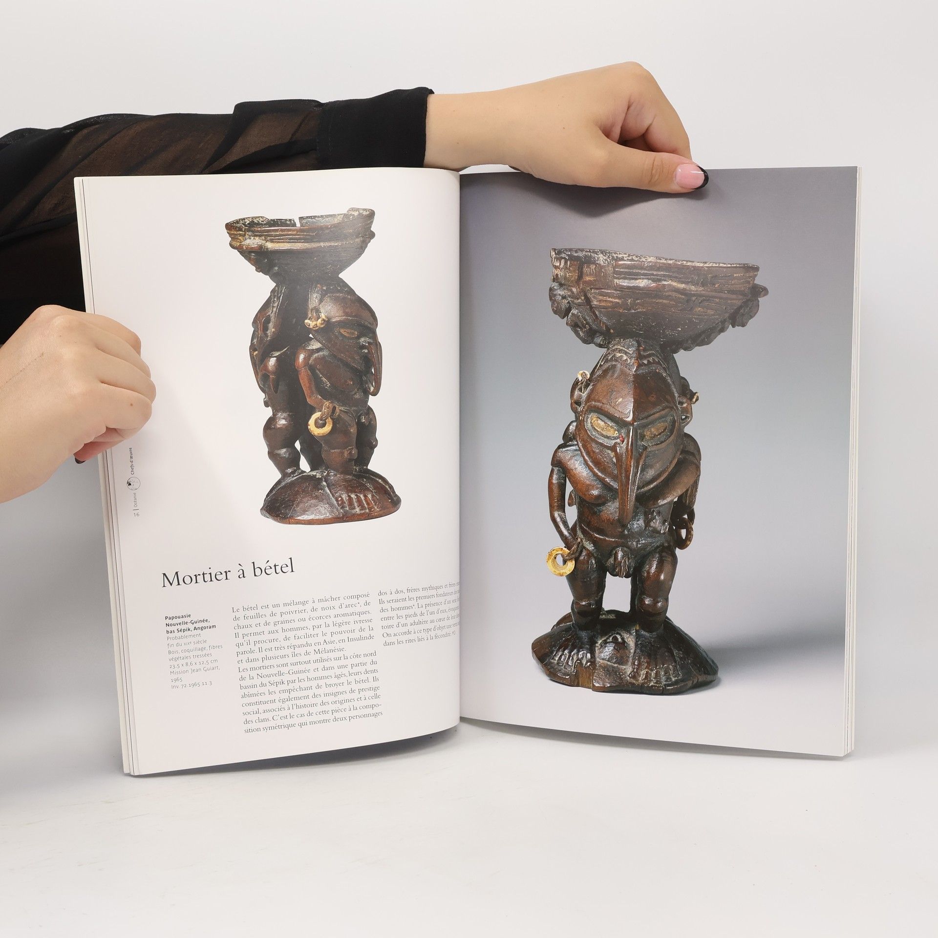Musée du Quai Branly Chefs-d'oeuvre dans les collections du musée du quai Branly