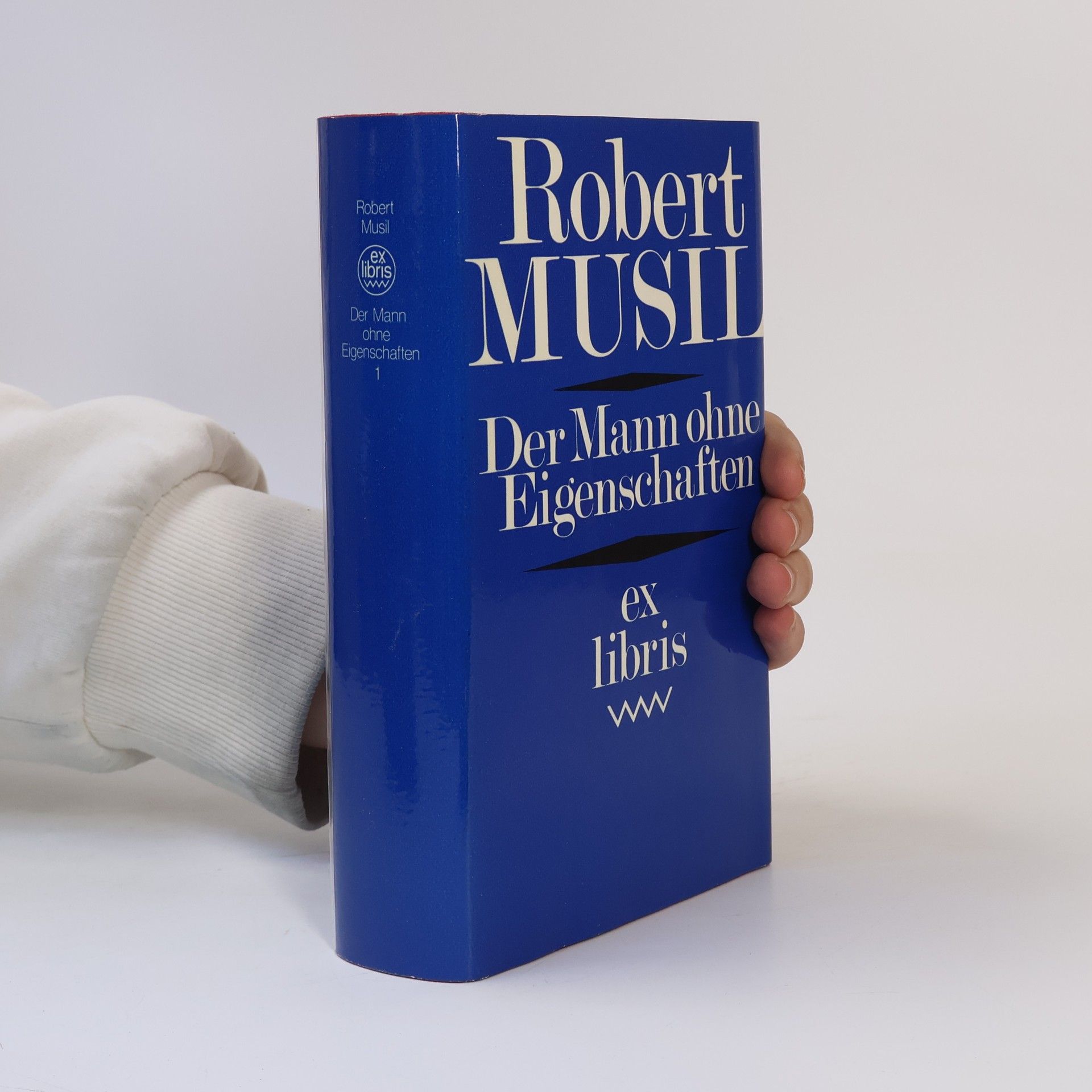 Robert Musil Der Mann ohne Eigenschaften 1