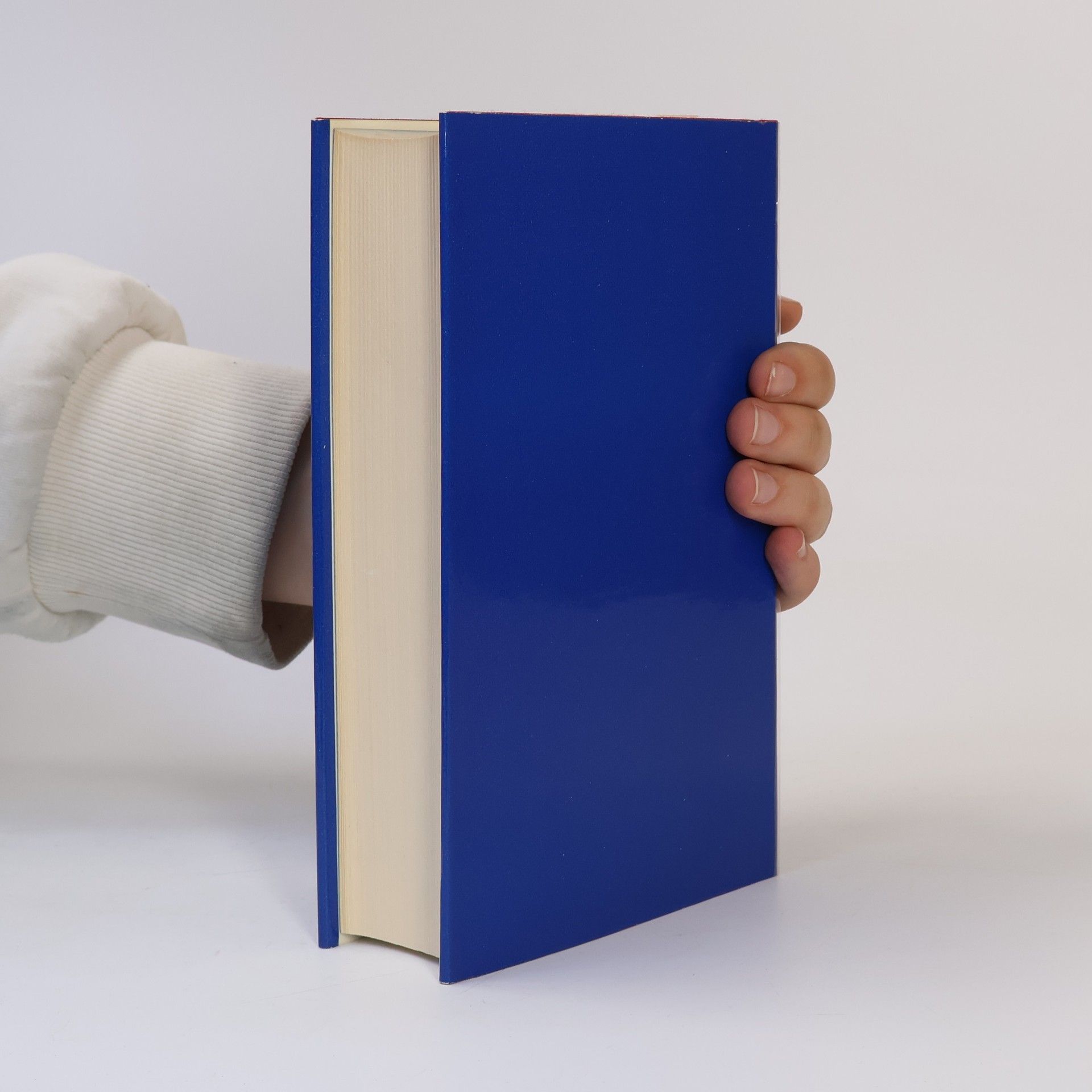 Robert Musil Der Mann ohne Eigenschaften 1