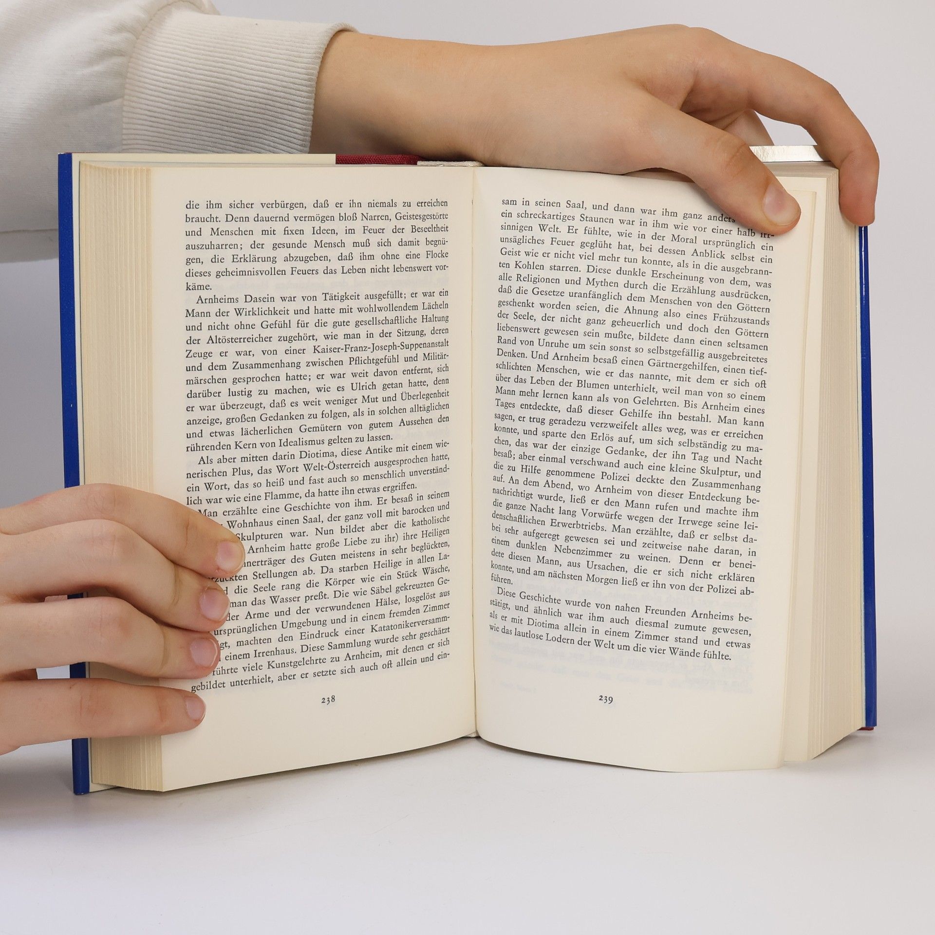 Robert Musil Der Mann ohne Eigenschaften 1