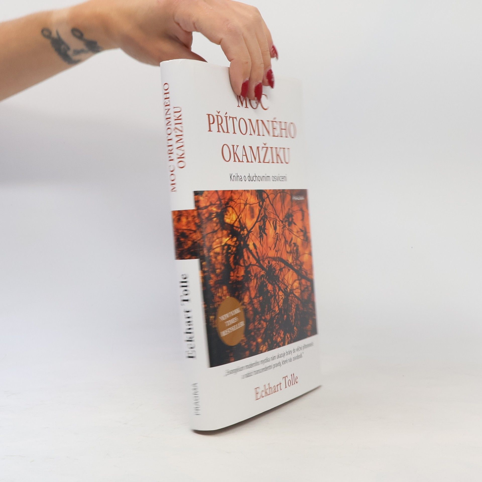 Eckhart Tolle Moc přítomného okamžiku