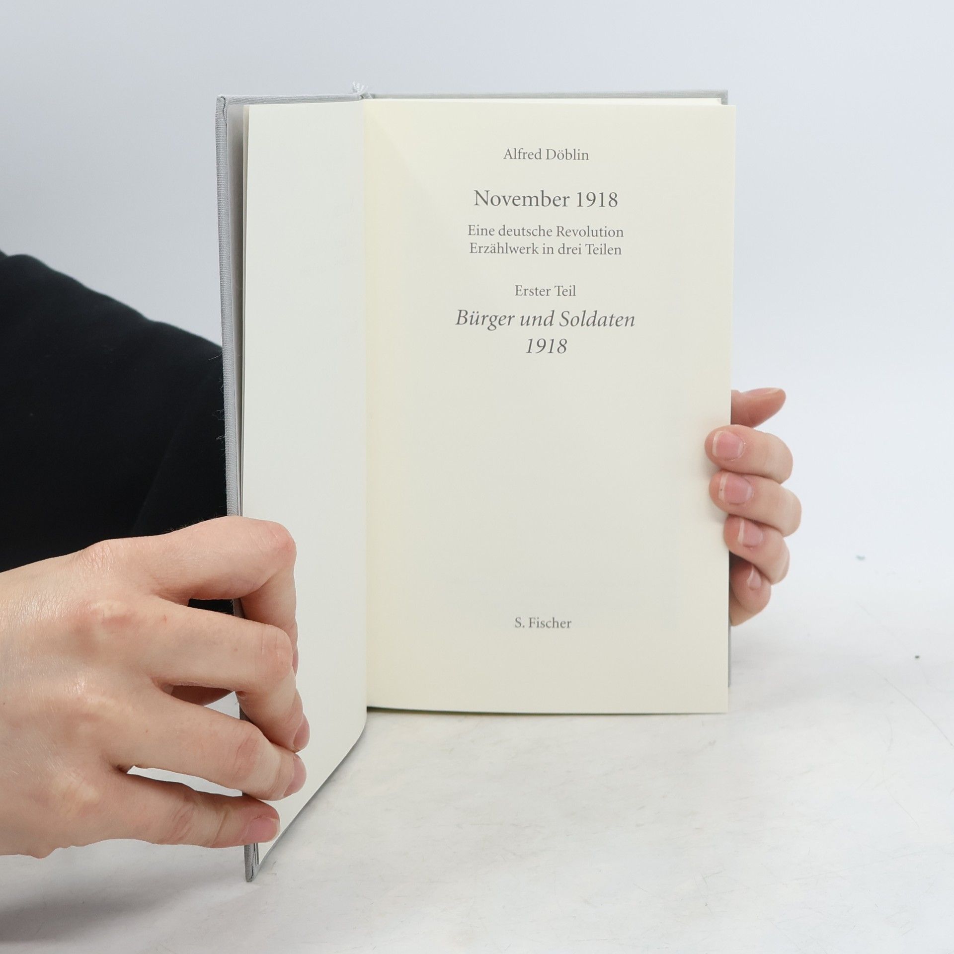 Alfred Döblin November 1918: Eine deutsche Revolution - 1: Bürger und Soldaten 1918