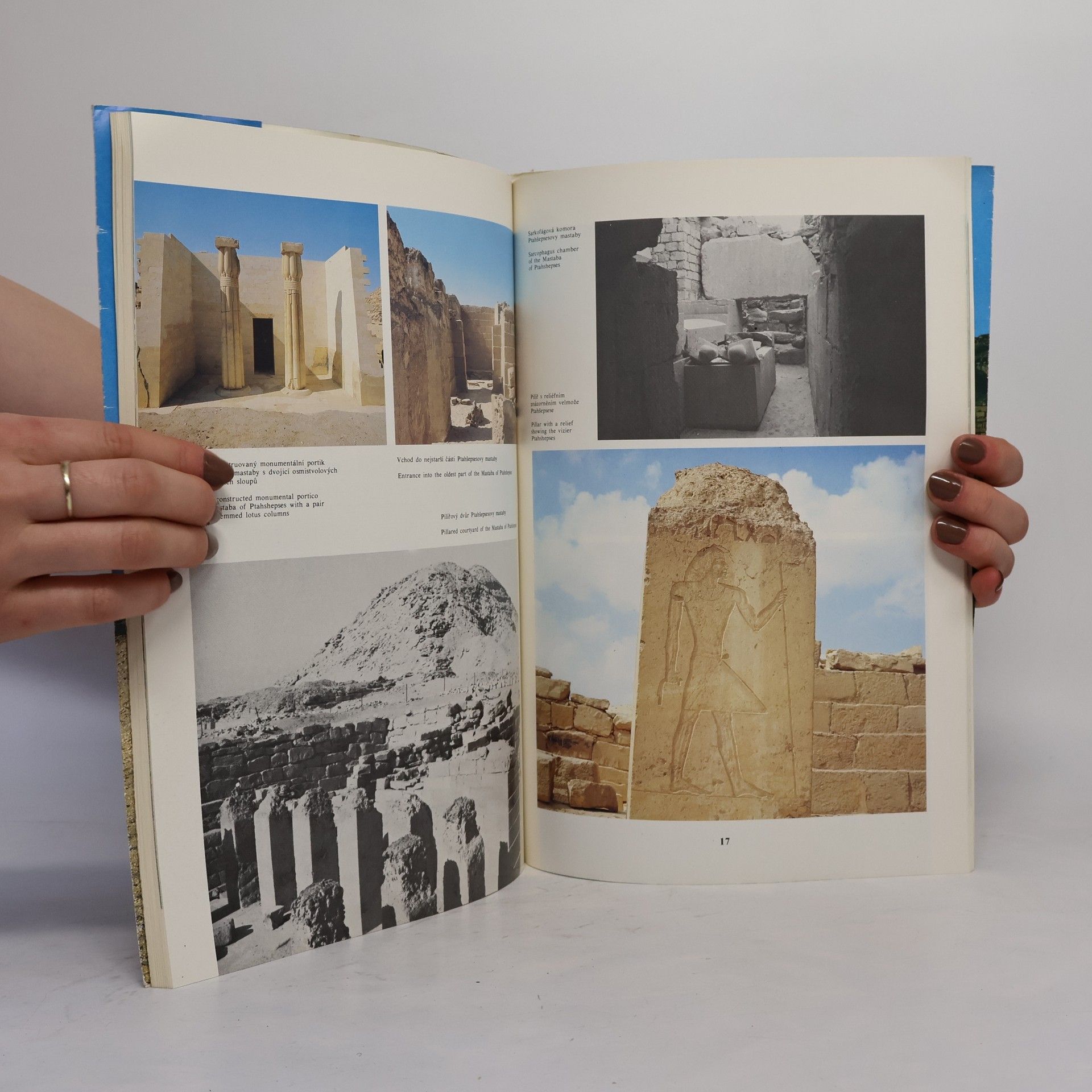 Jan Brodský Objevování starého Egypta. Unearthing Ancient Egypt 1958-1988