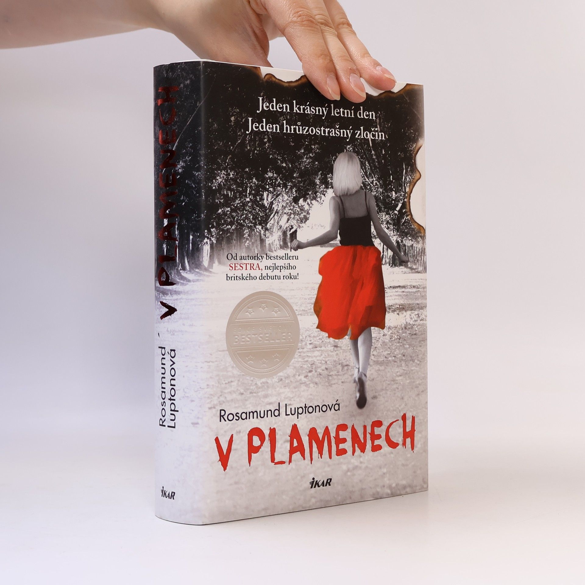 Rosamund Lupton V plamenech