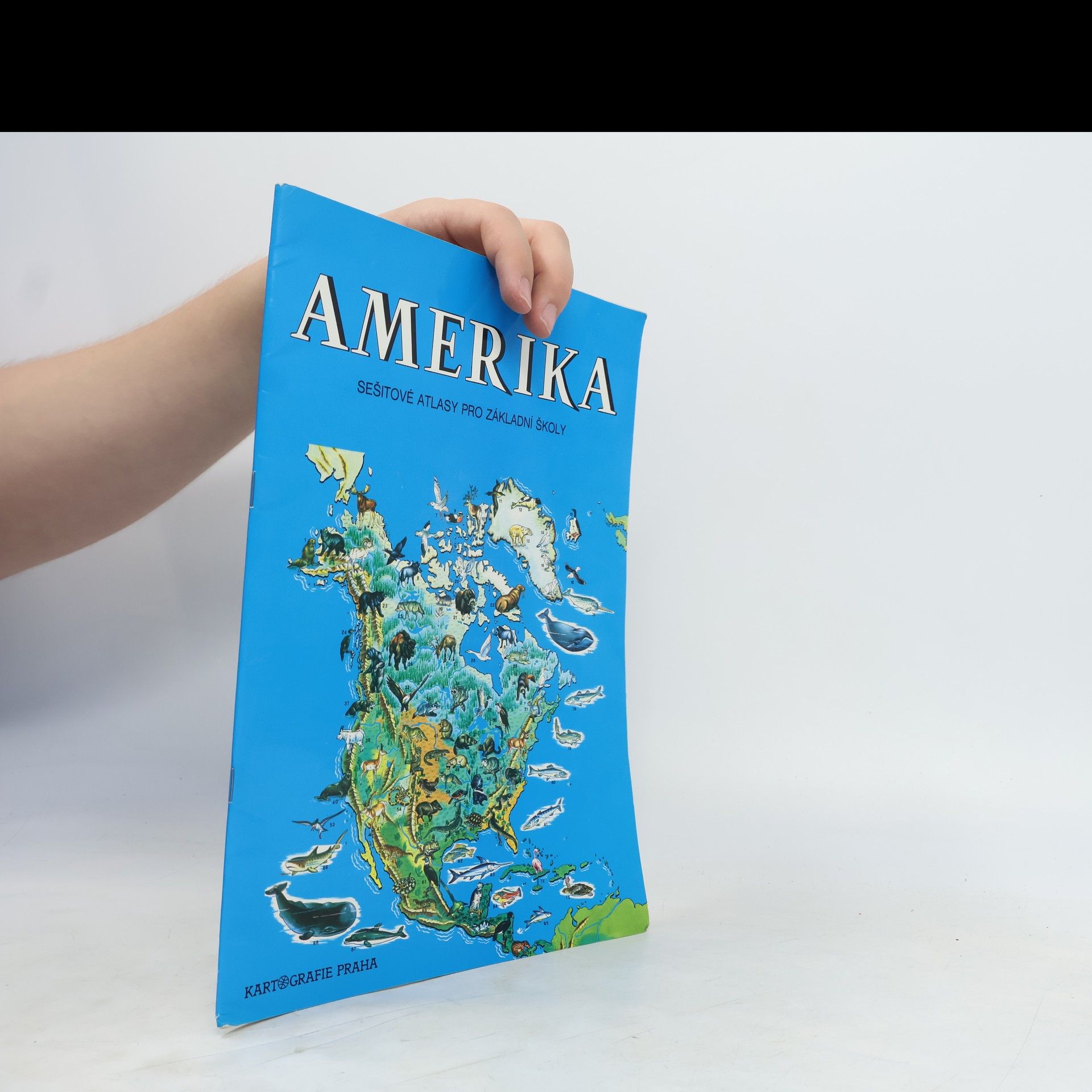 Kolektív autorov Amerika