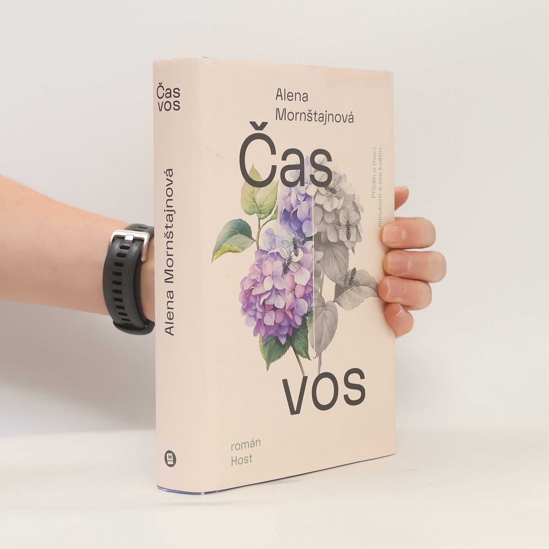 Alena Mornštajnová Čas vos