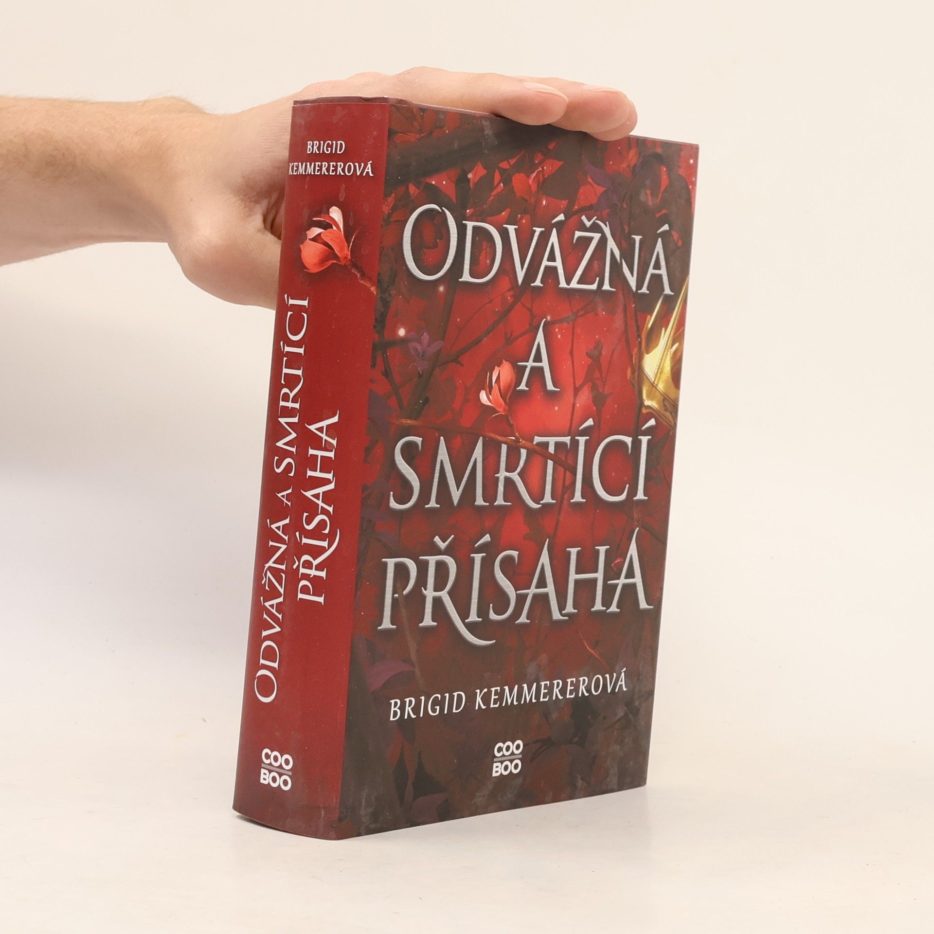 Brigid Kemmerer Odvážná a smrtící přísaha