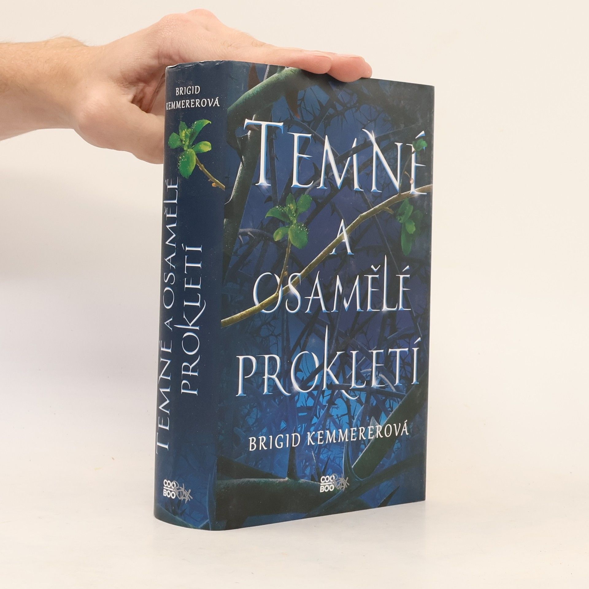 Brigid Kemmererová Temné a osamělé prokletí