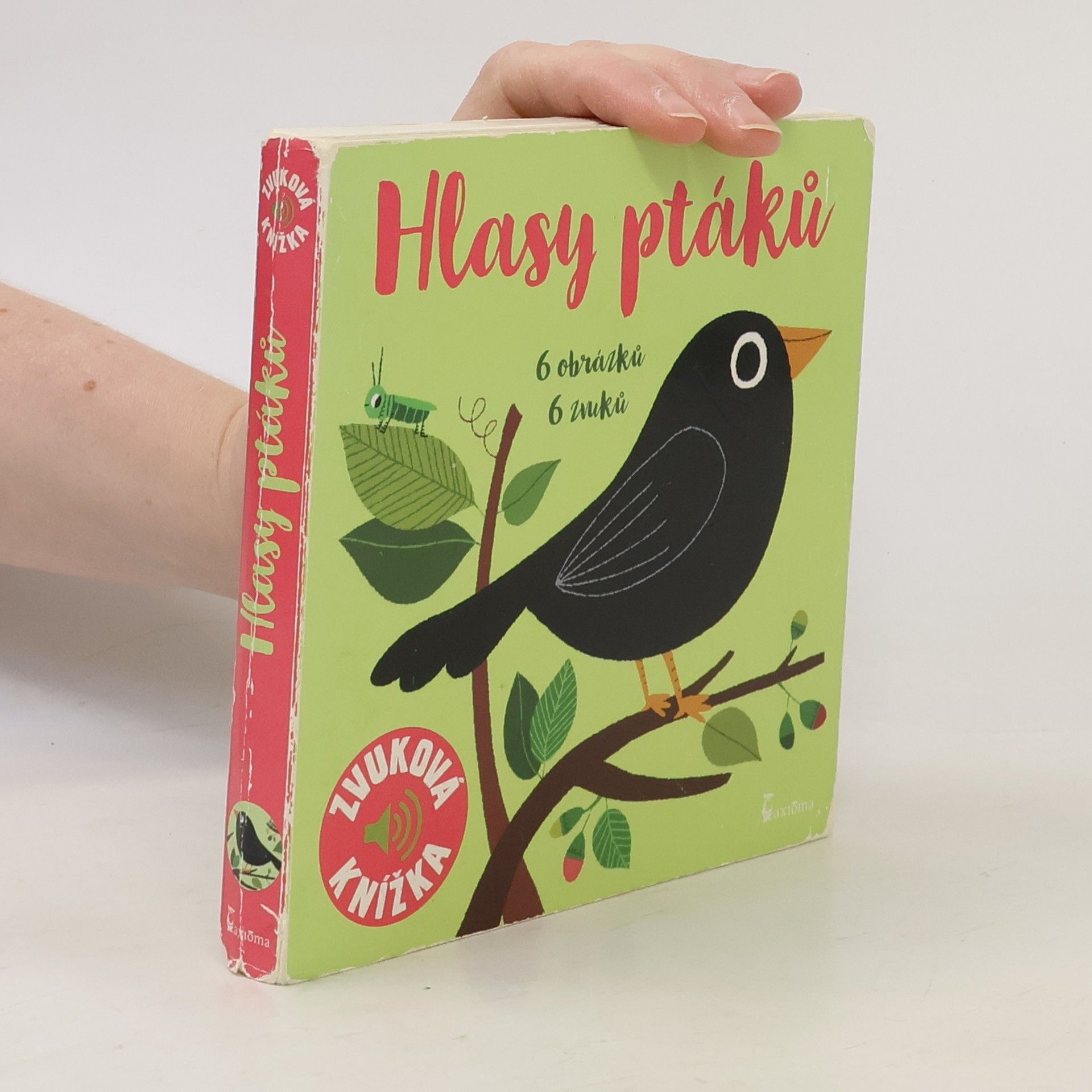 Marion Billet Hlasy ptáků