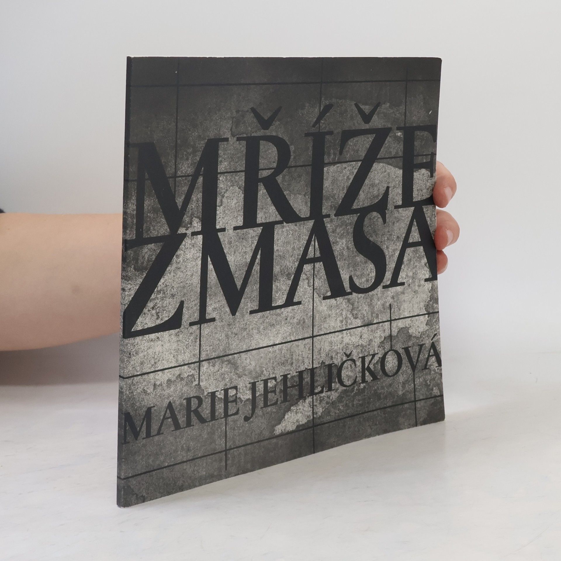 Marie Jehličková Mříže z masa
