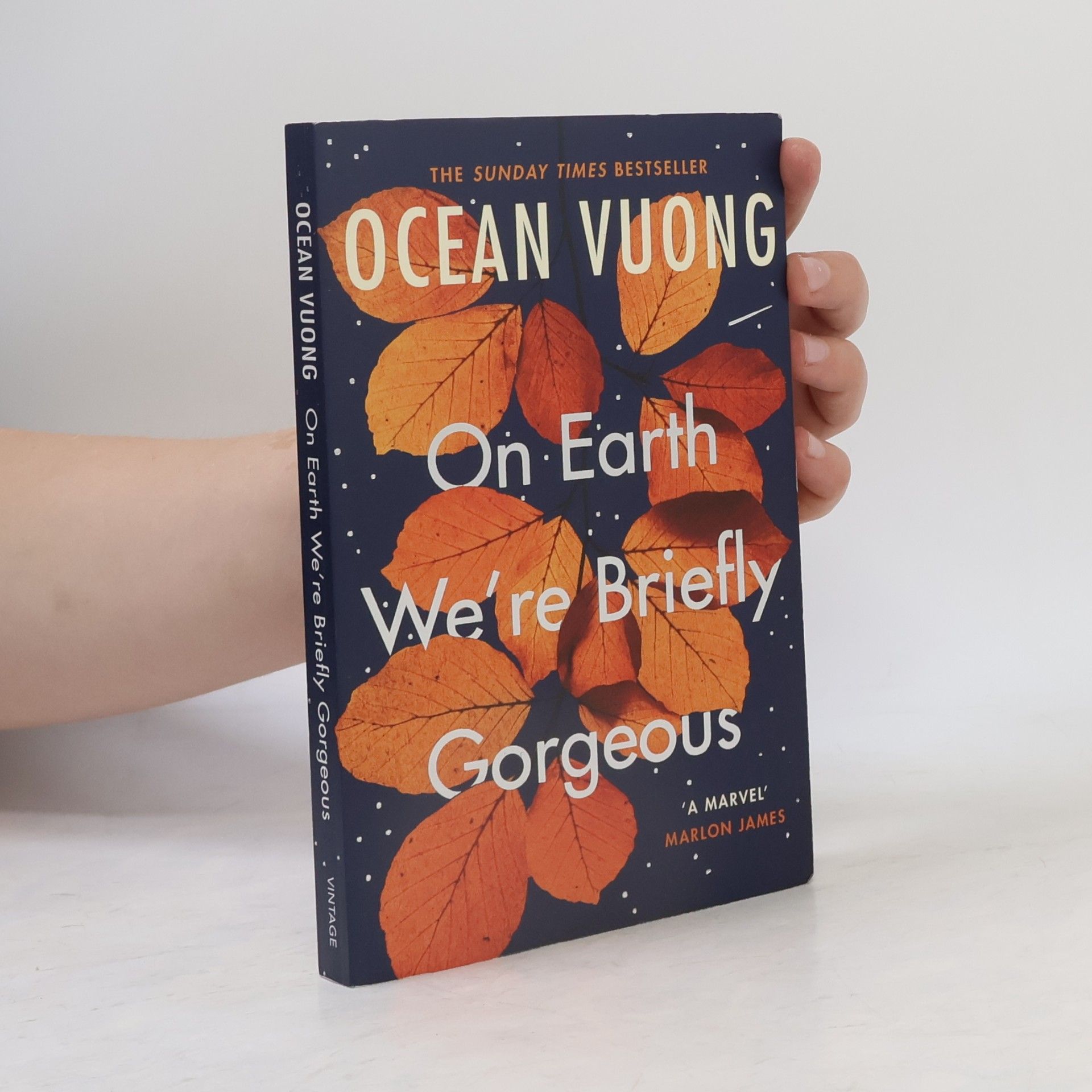 Ocean Vuong On Earth We're Briefly Gorgeous