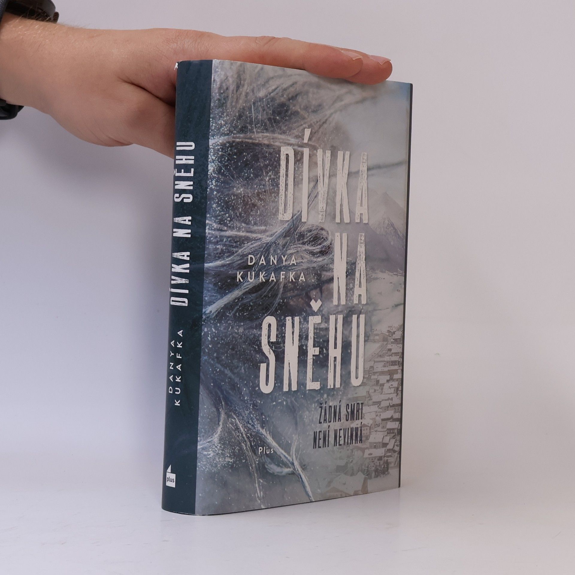 Danya Kukafka Dívka na sněhu