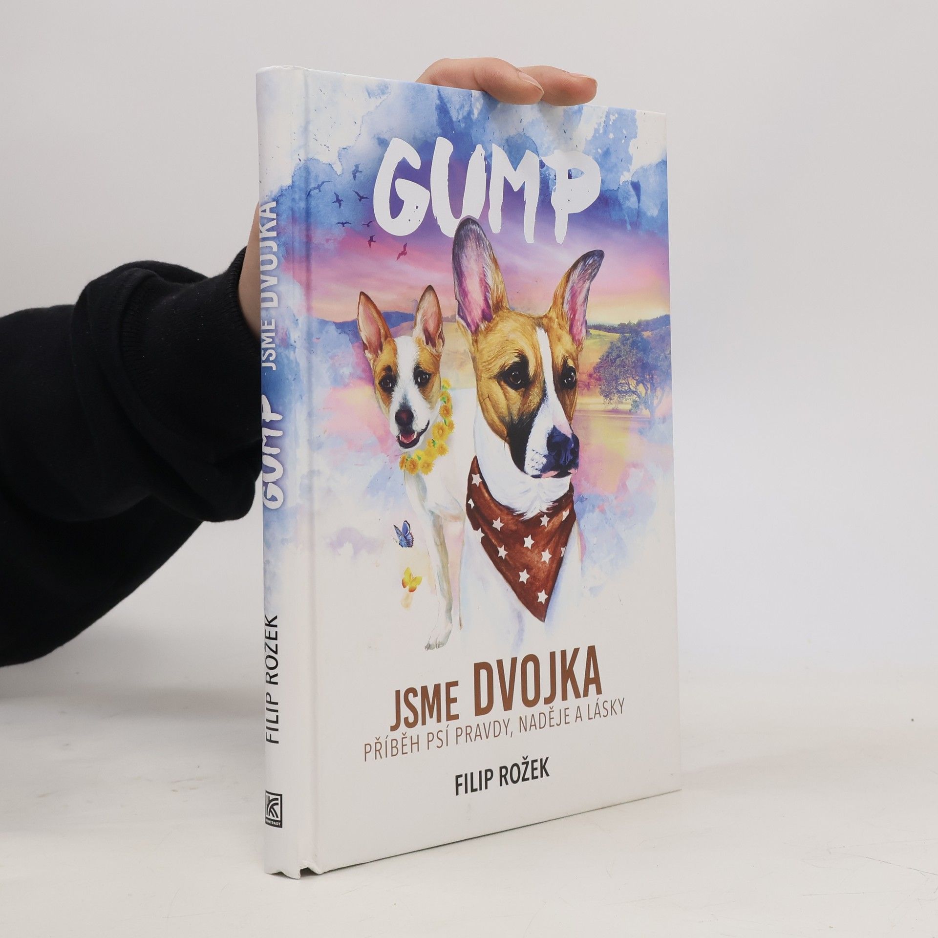 Filip Rožek Gump jsme dvojka: Příběh psí pravdy, naděje a lásky