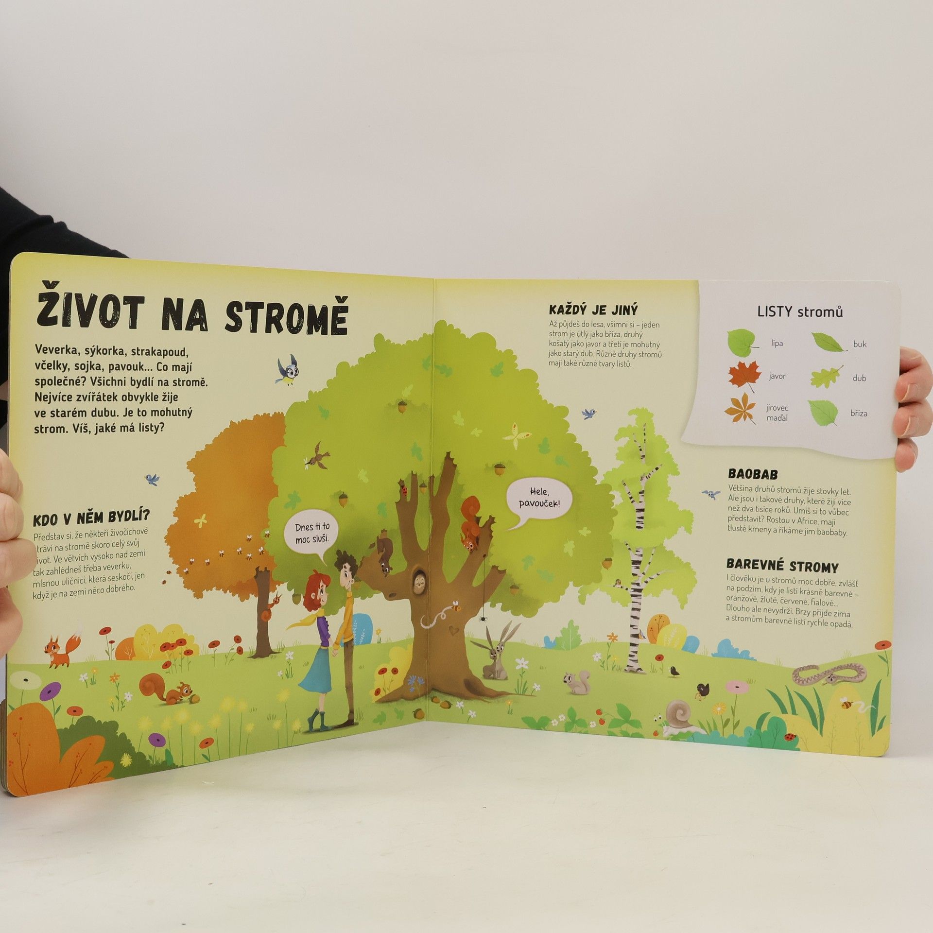 Petra Bartíková Co se děje na stromě