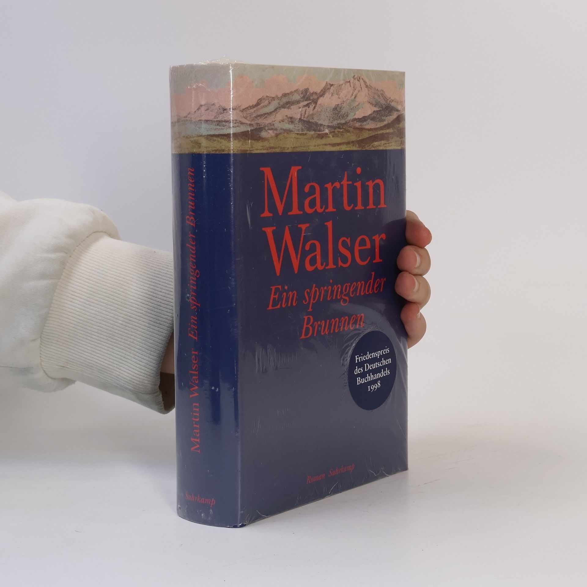 Martin Walser Ein springender Brunnen