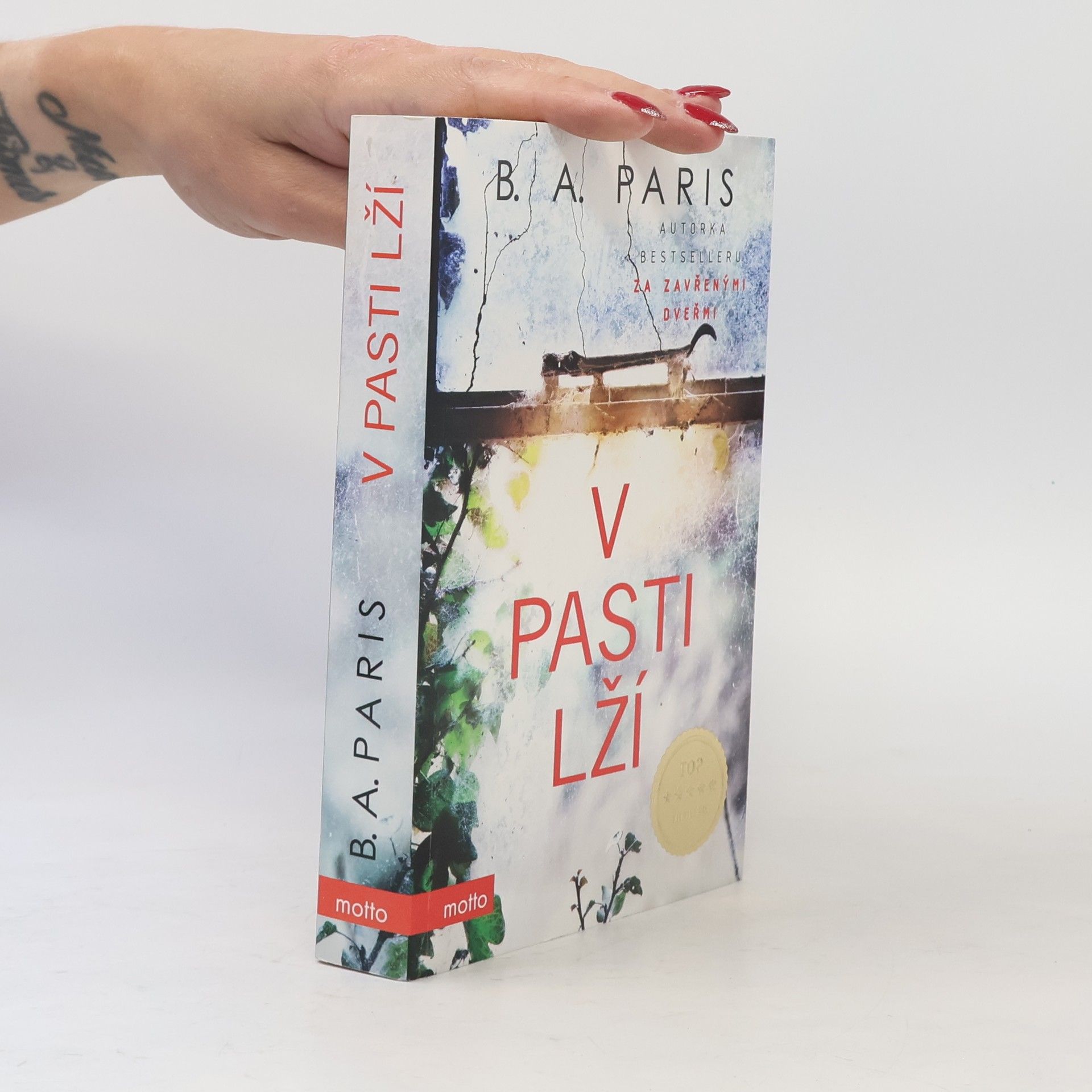 B. A. Paris V pasti lží