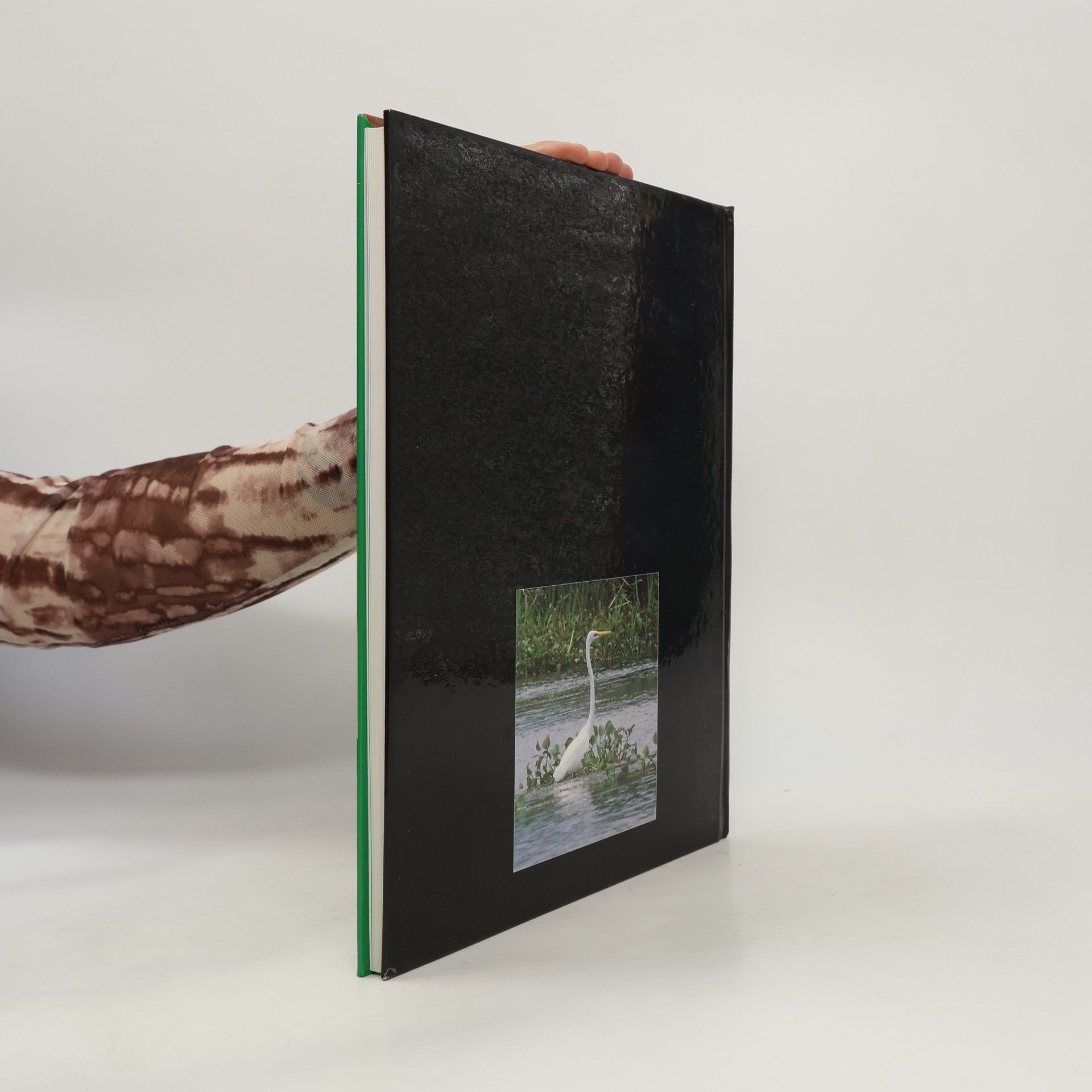 Petr Bayer Tajemný Irian Jaya poodkrývá tvář