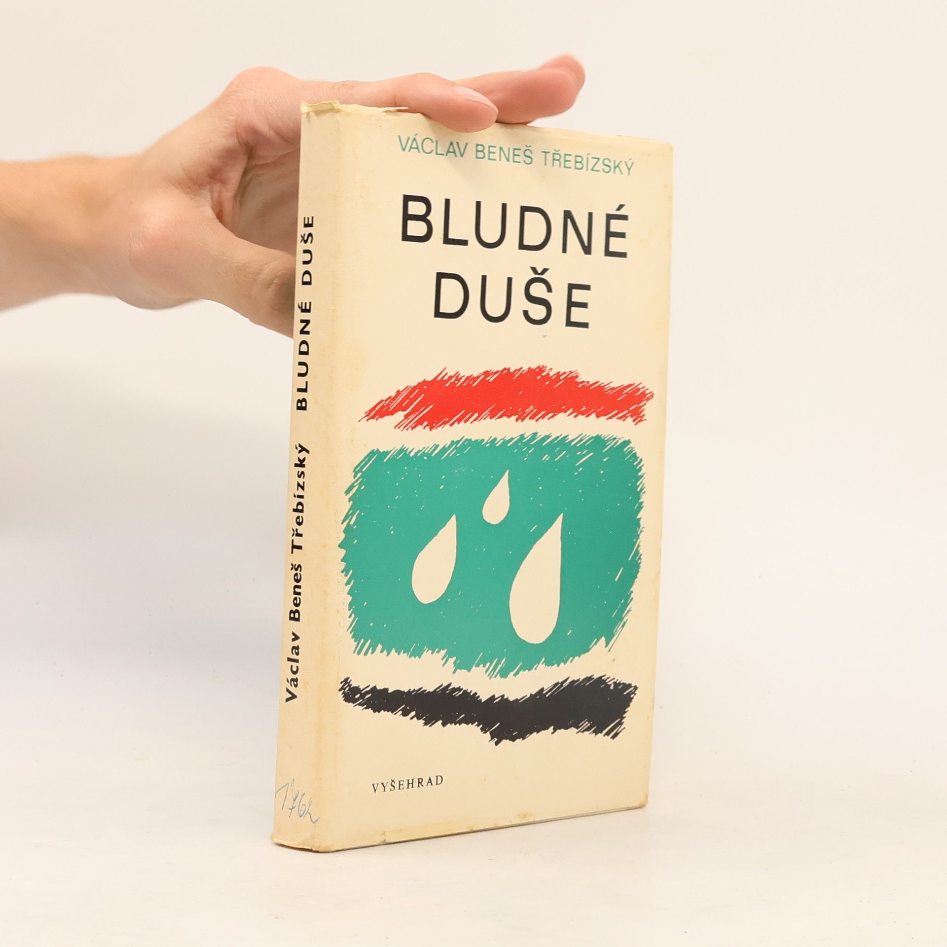 Václav Beneš Třebízský Bludné duše