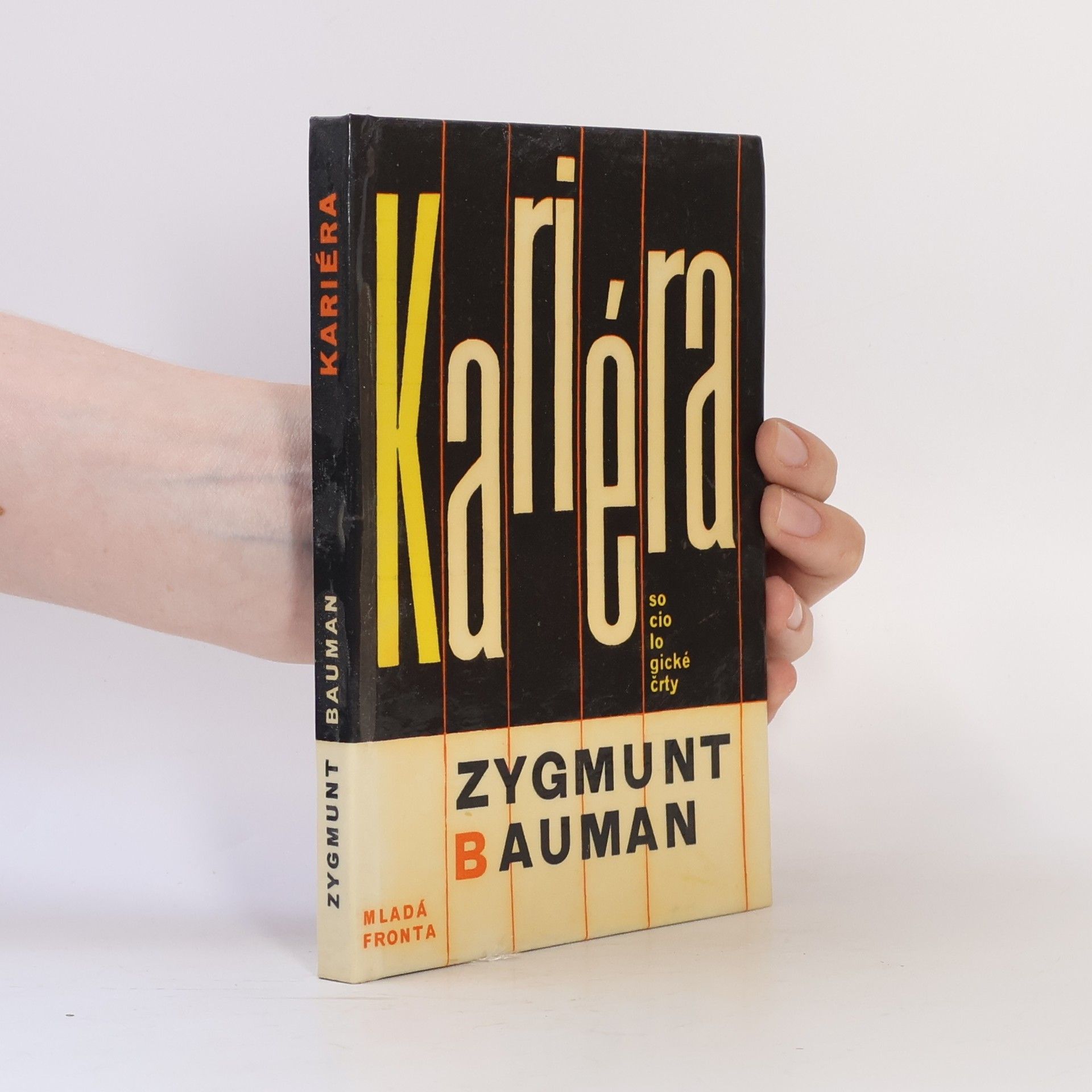 Zygmunt Bauman Kariéra