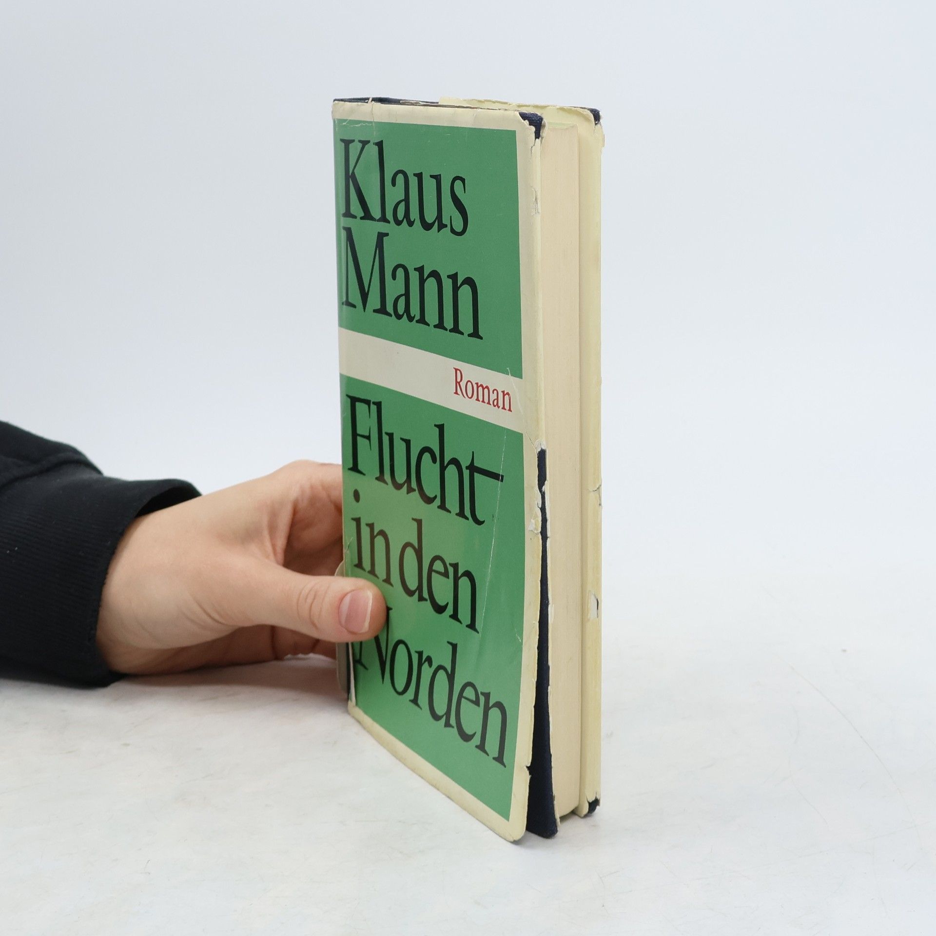 Klaus Mann Flucht in den Norden