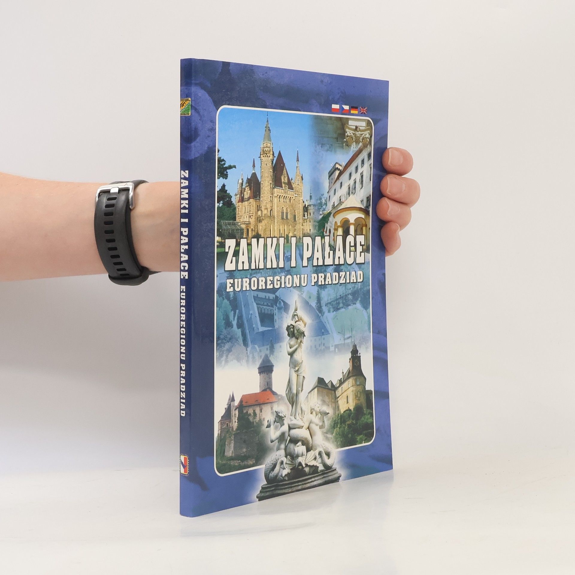 Auteurscollectief Zamki i palace euroregionu Pradziad