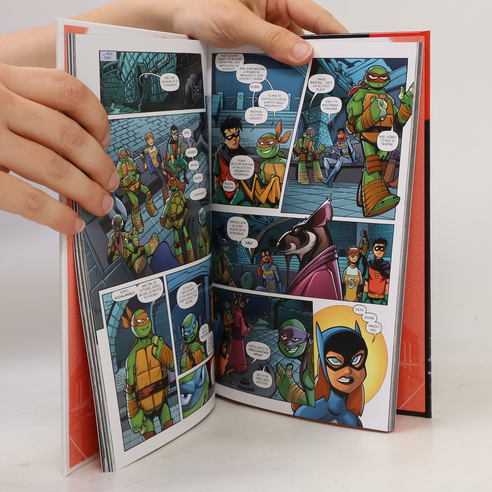 Kolektiv autorů Batman a mladé Ninja korytnačky
