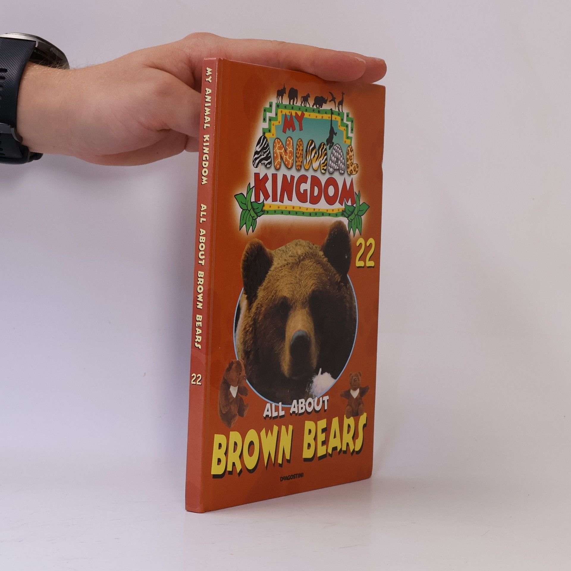Kolektiv autorů My Animal Kingdom 22. All about Brown Bears