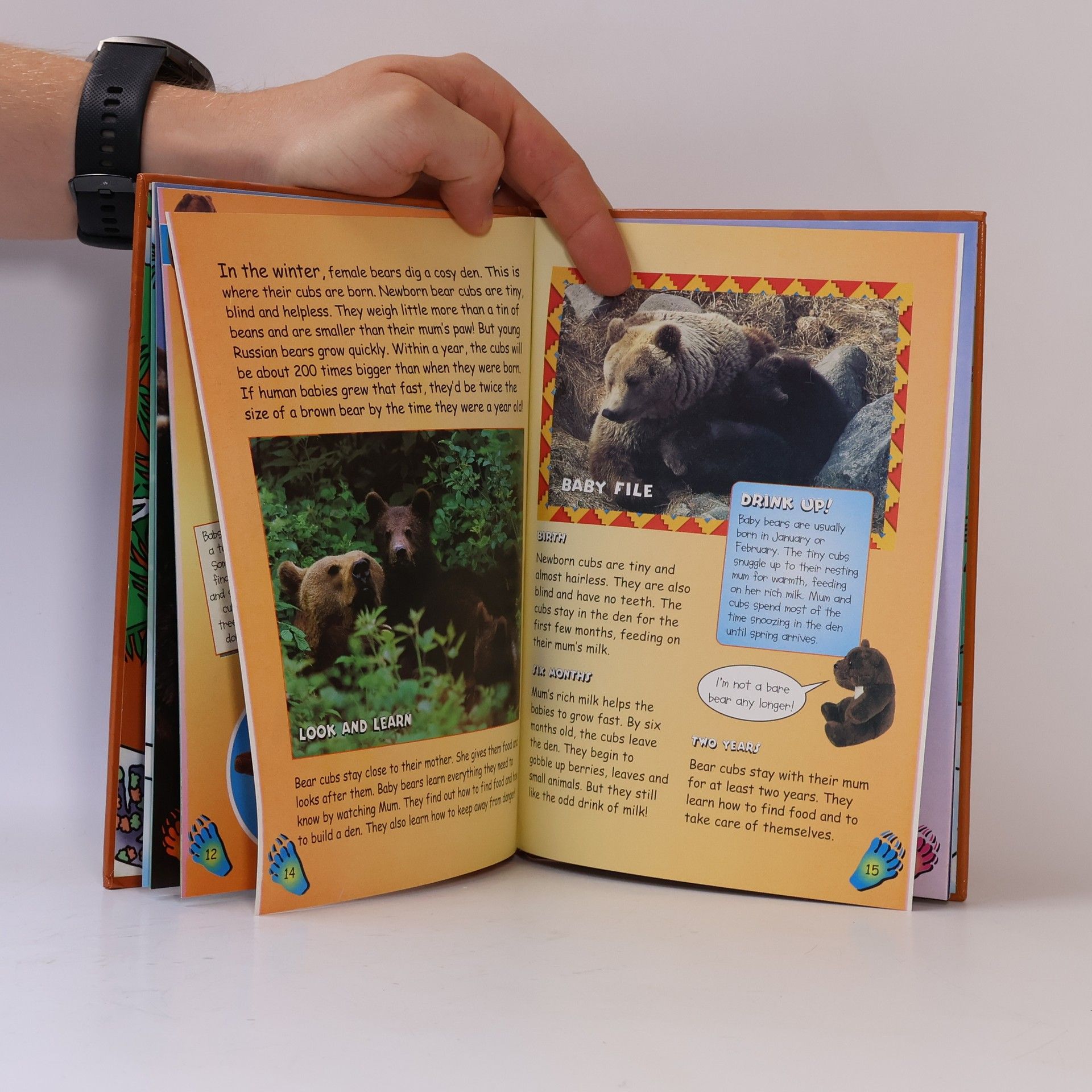 Kolektiv autorů My Animal Kingdom 22. All about Brown Bears
