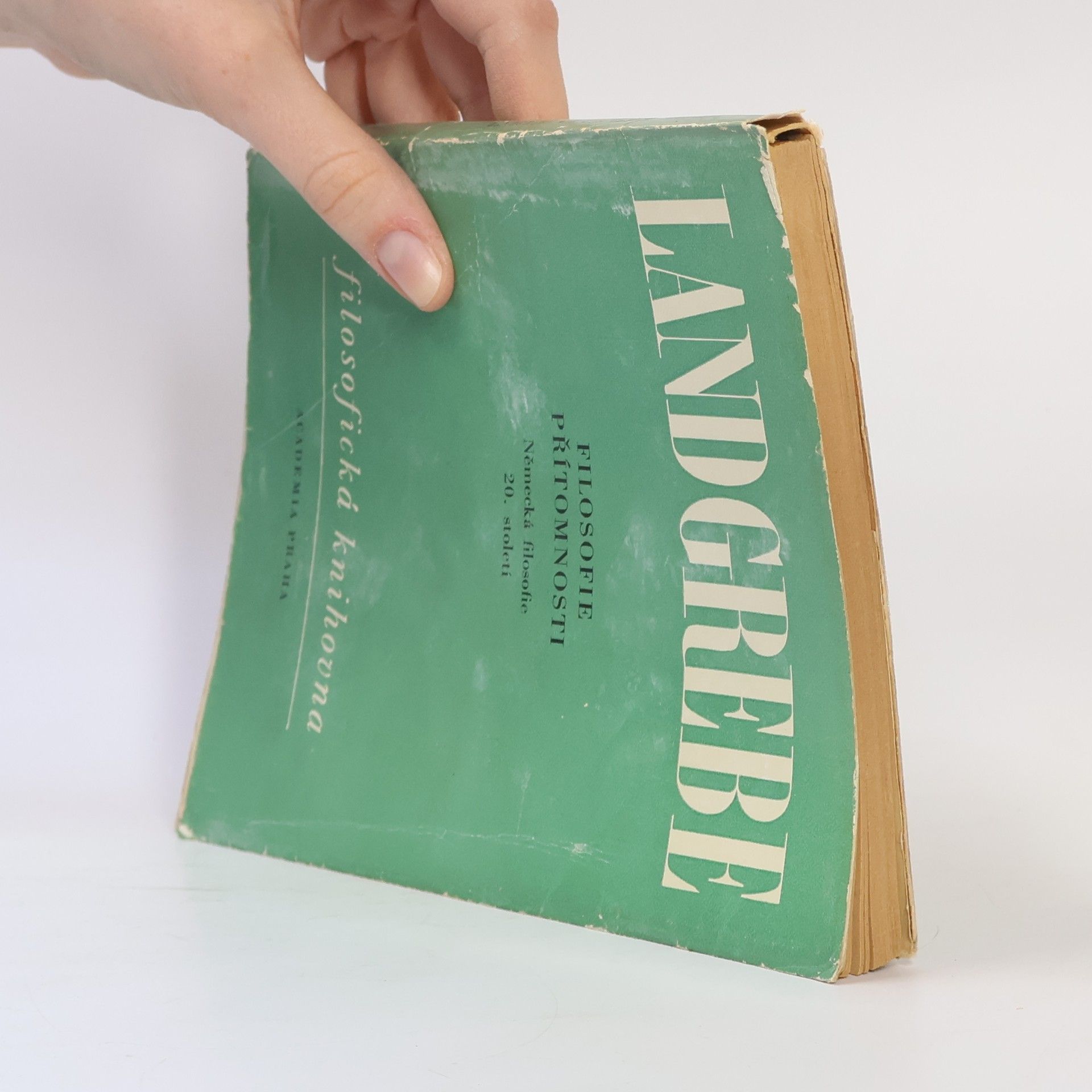 Ludwig Landgrebe Filosofie přítomnosti