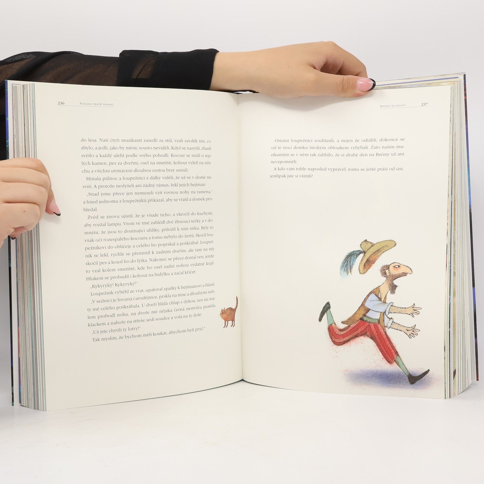 Jacob Grimm Pohádky bratří Grimmů