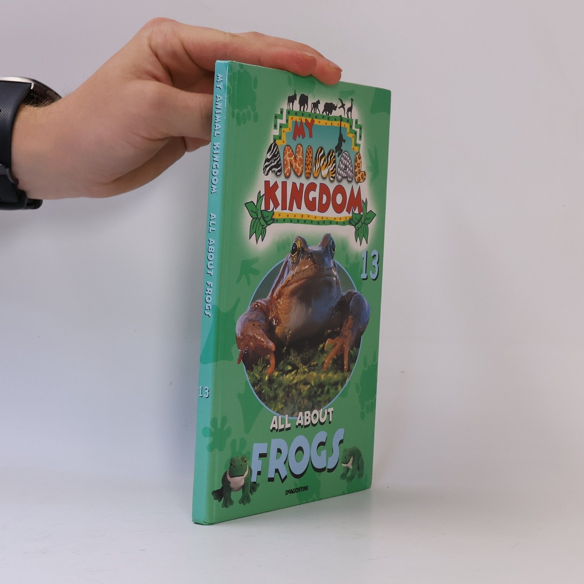 Kolektiv autorů All About Frogs 13