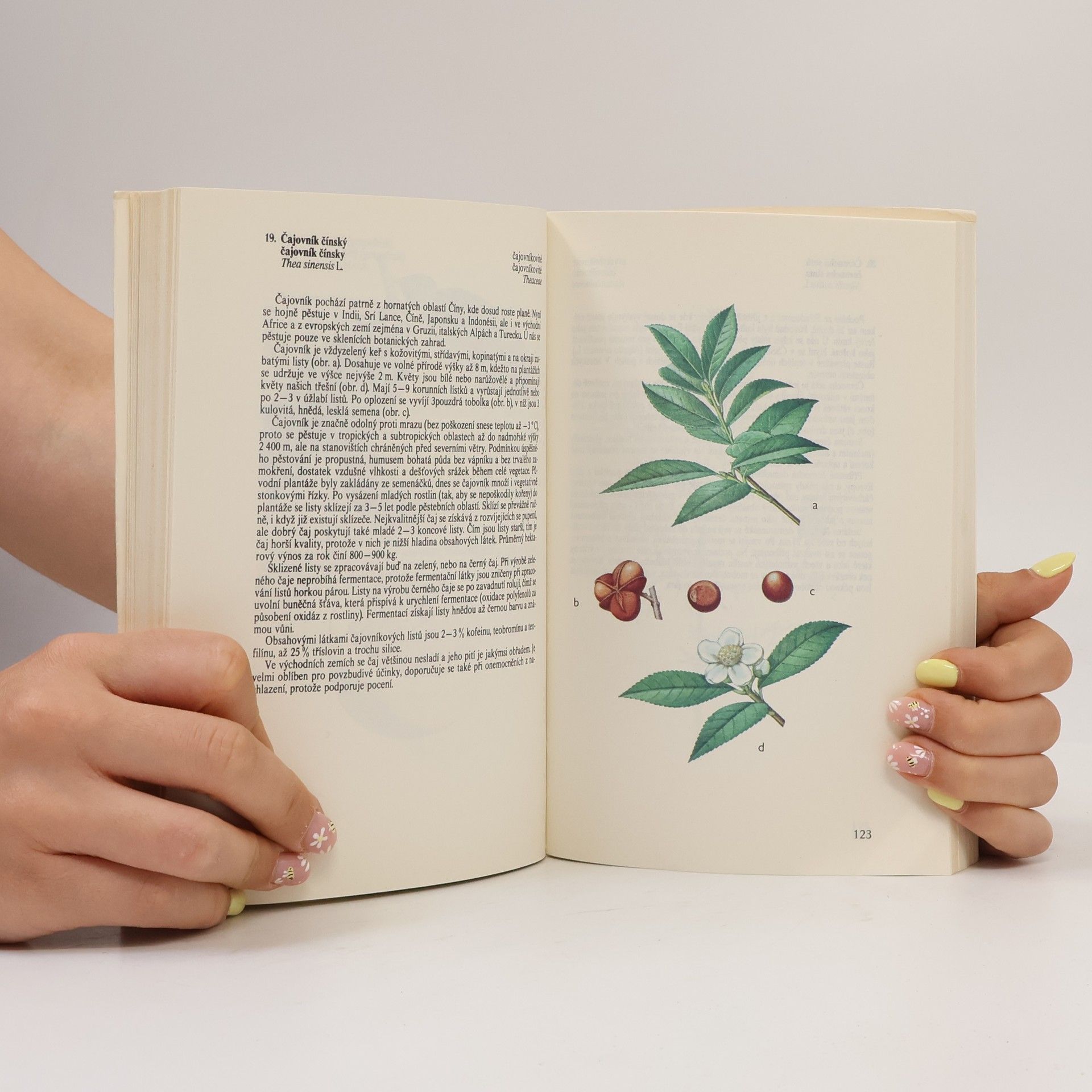Jarmila Mladá Atlas cizokrajných rostlin