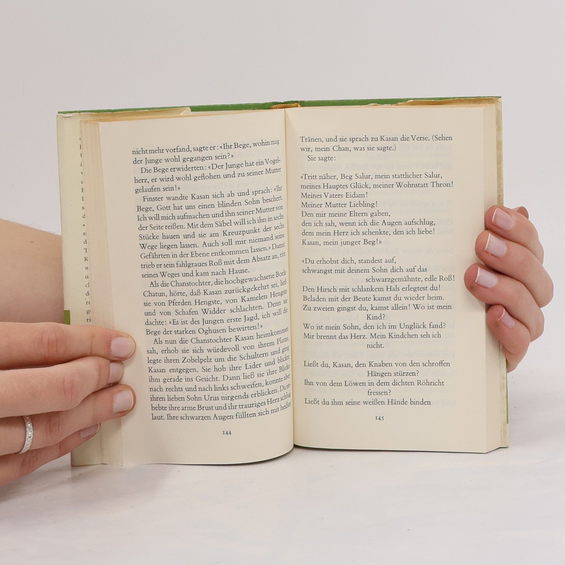 Joachim Hein Das Buch des Dede Korkut