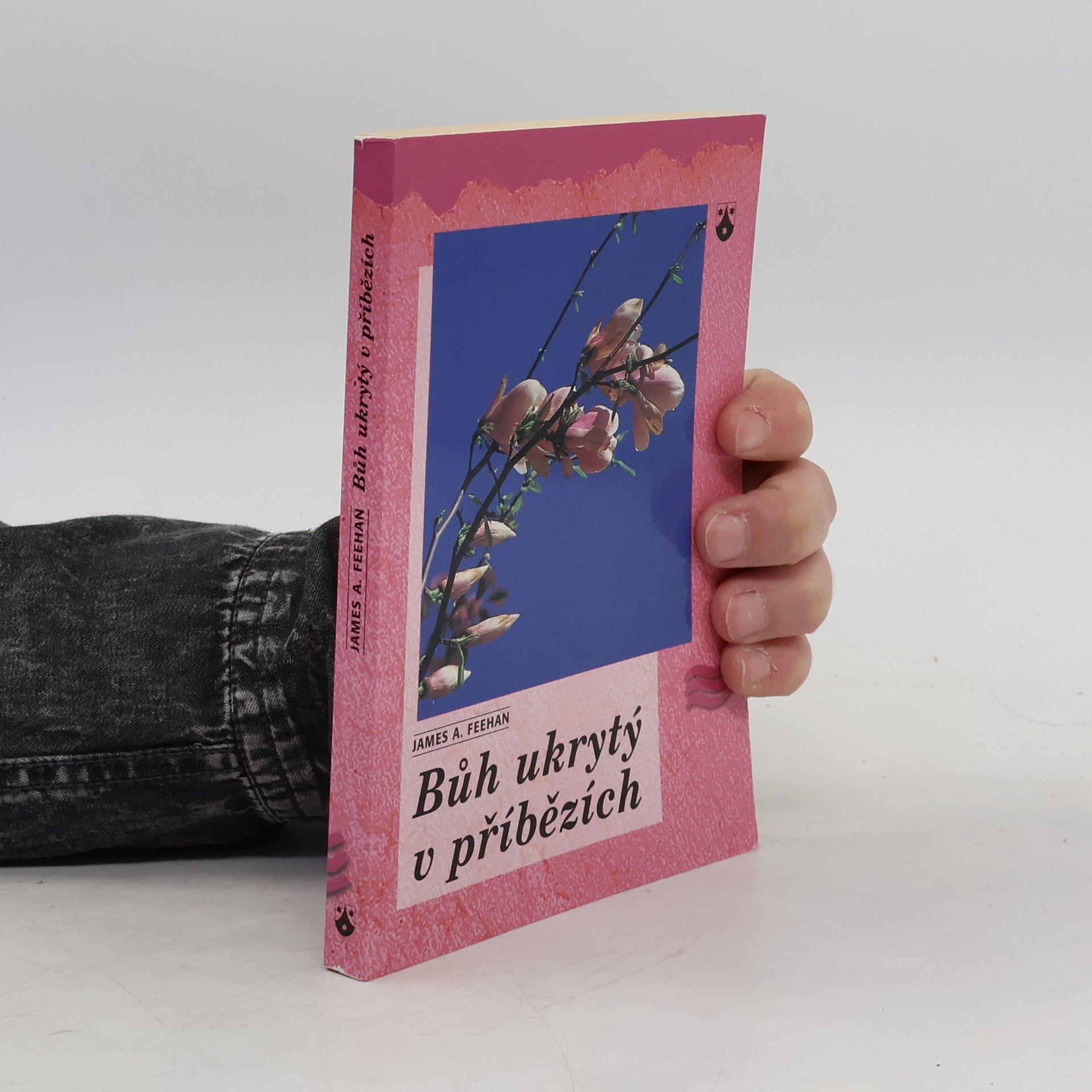 James A. Feehan Bůh ukrytý v příbězích