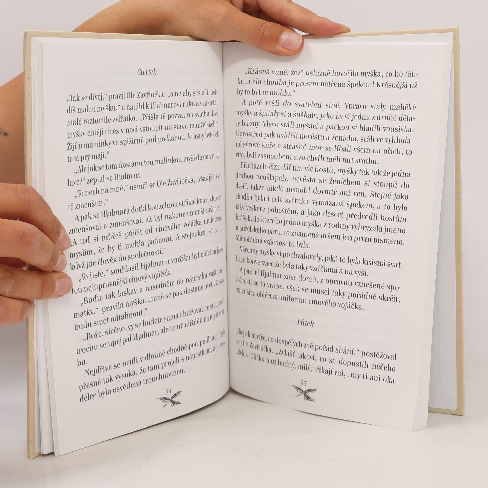 Hans-Christian Andersen Starý dům a jiné pohádky