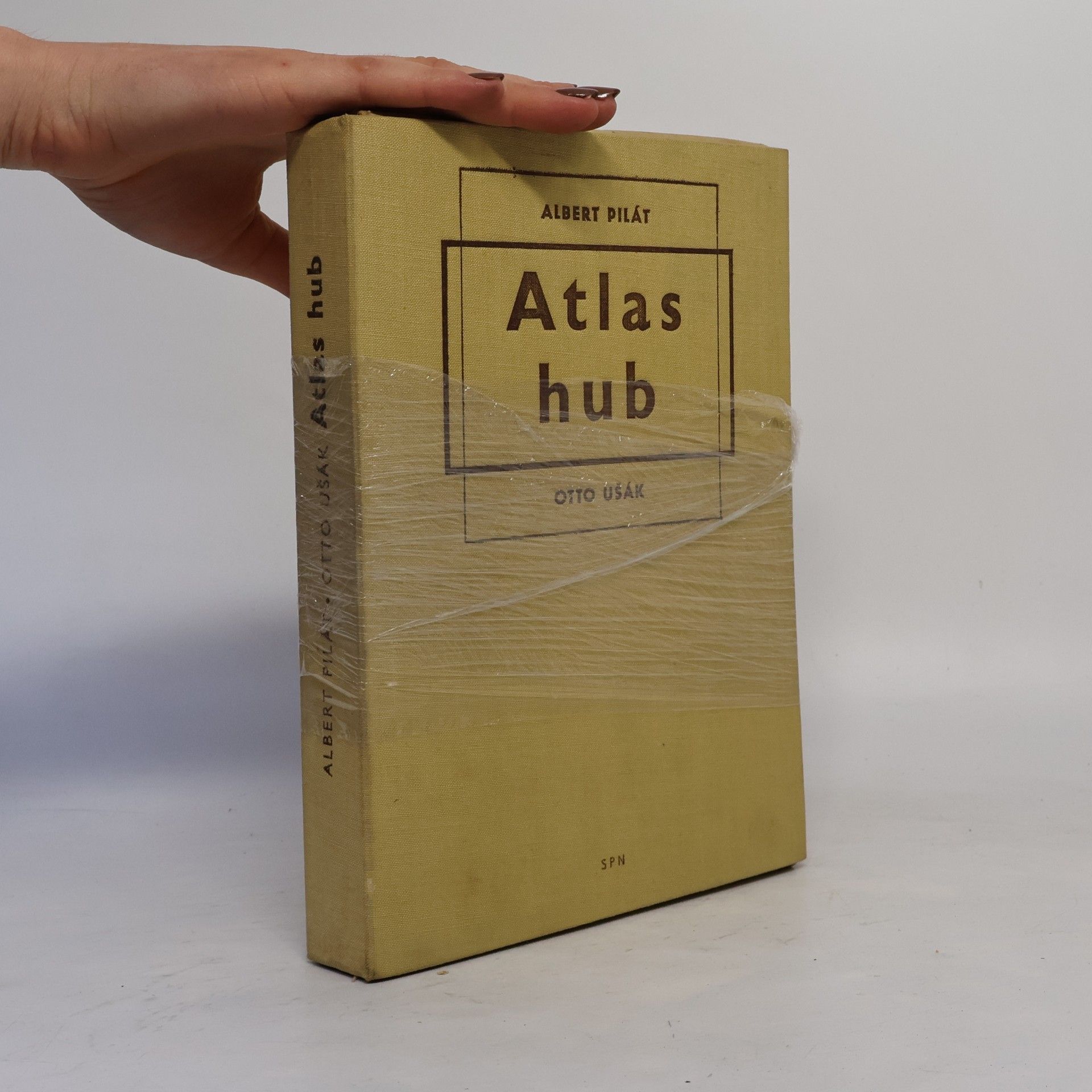 Albert Pilát Atlas hub
