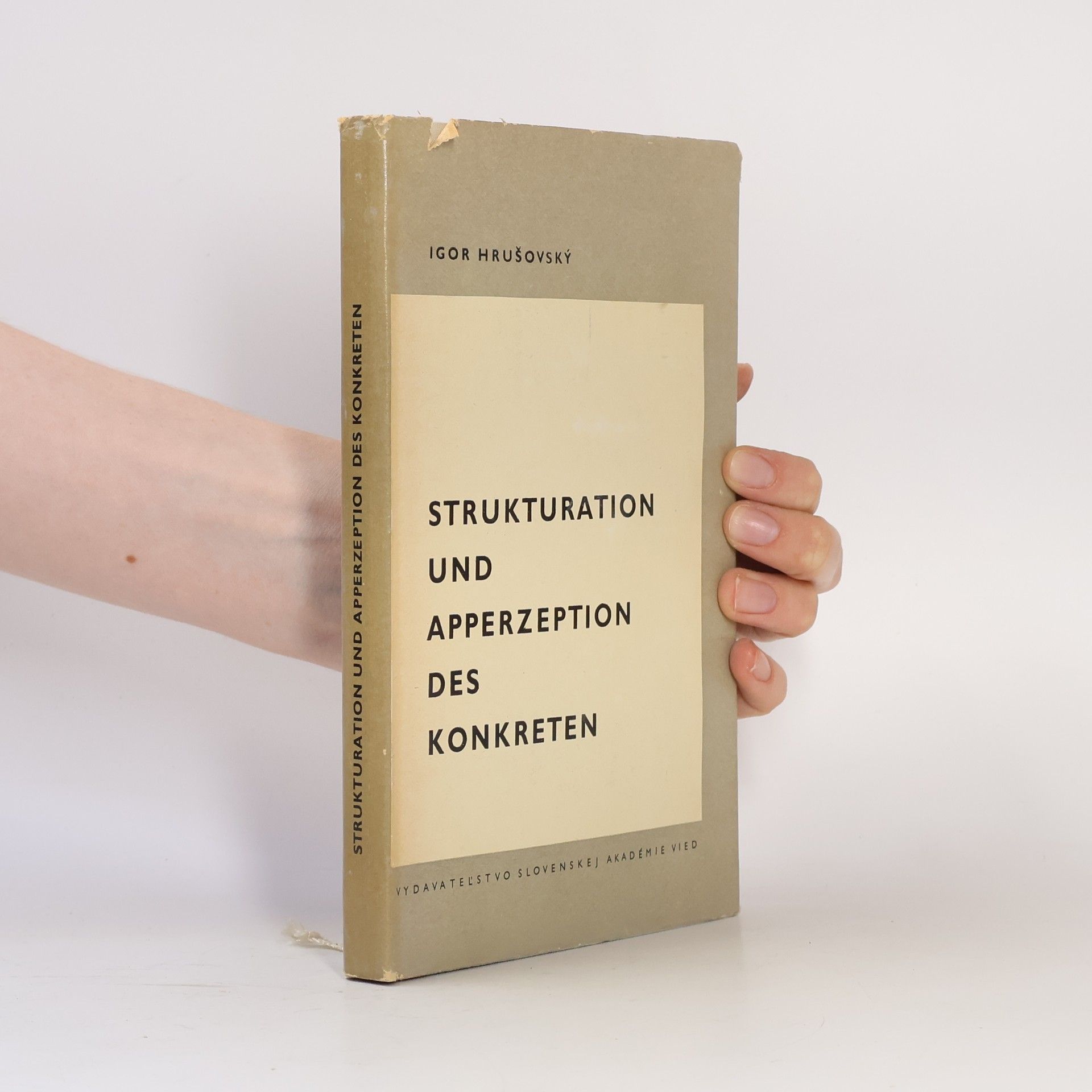 Igor Hrušovský Strukturation und Apperzeption des Konkreten